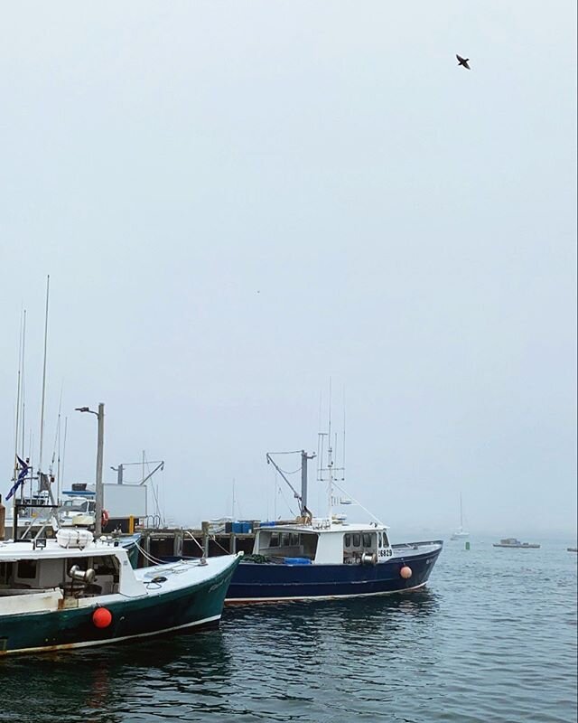 It&rsquo;s supposed to be overcast and rainy most of this weekend... I&rsquo;m kinda here for it. 😏 #unpopularopinions #southshorema #fog #cloudy #overcastskies #coastalliving
