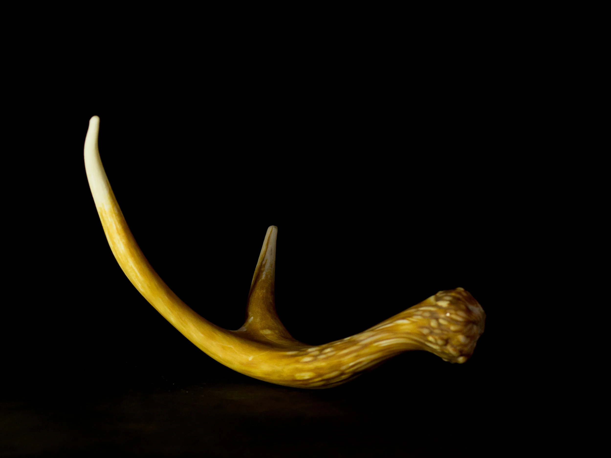 Antler Blown Glass