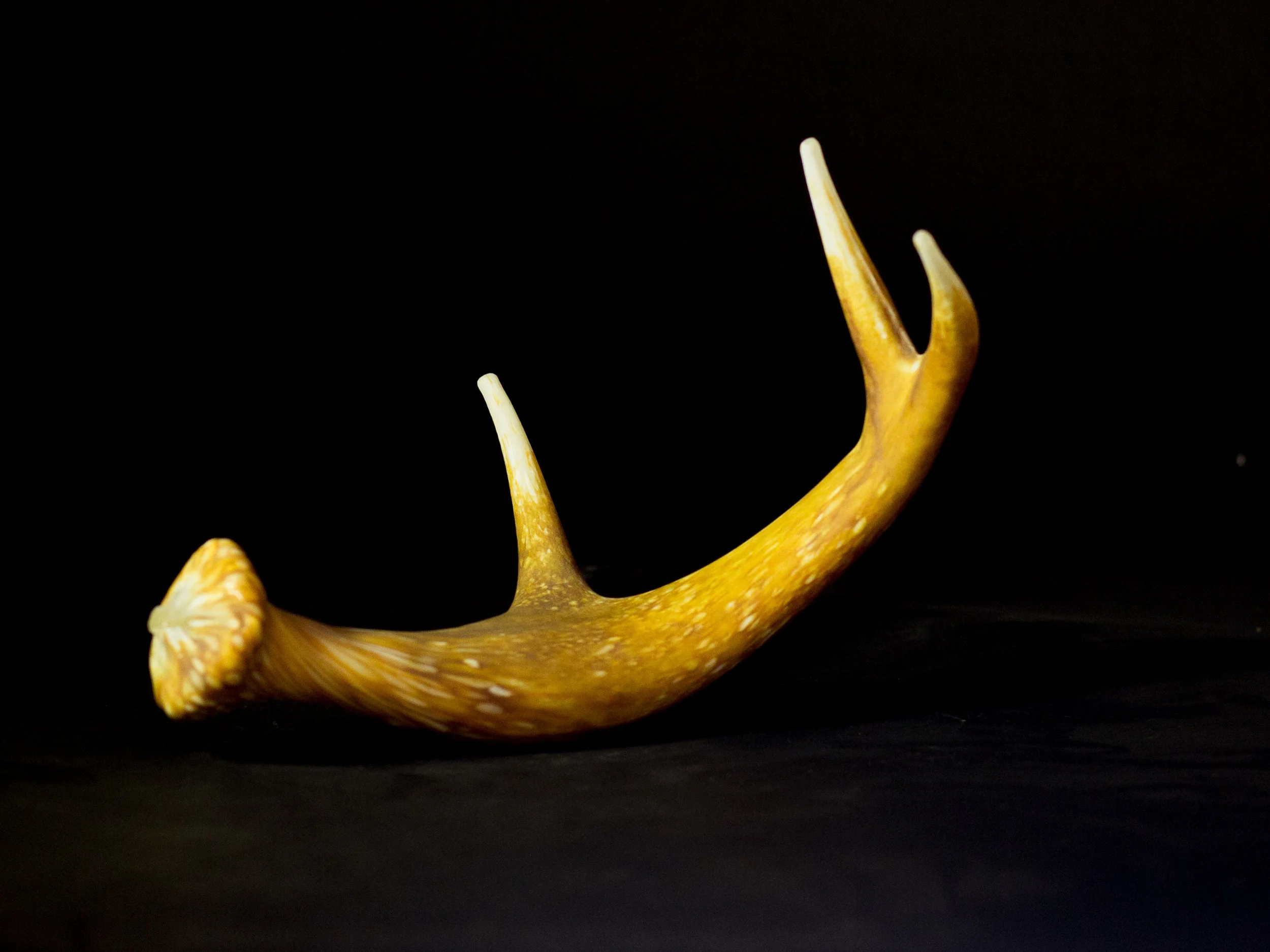 Antler Blown Glass