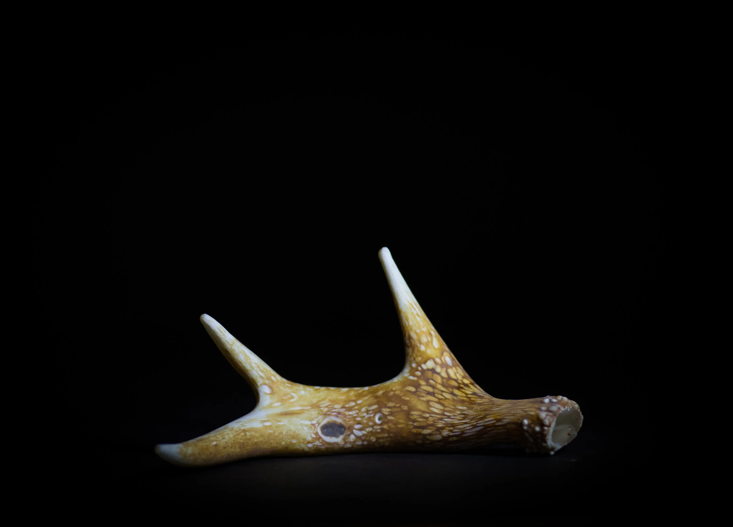 Blown Glass Antler