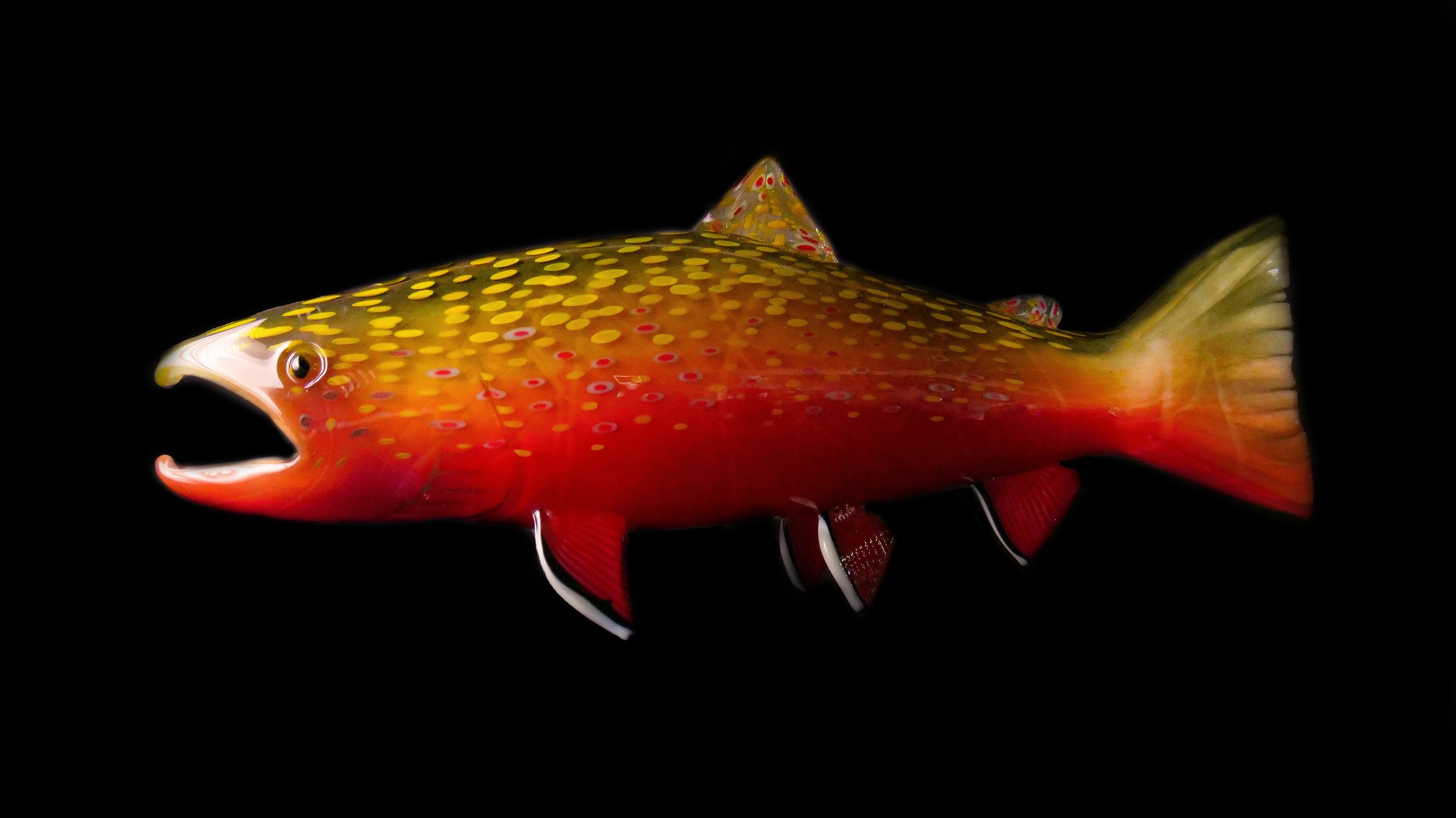 Trout Fish Edit 4.jpg