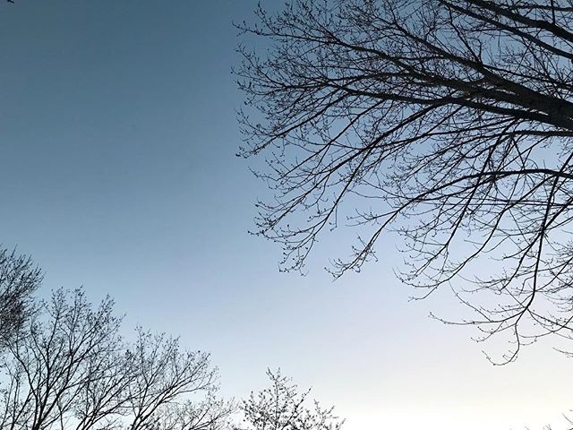 I N S P O | sunny days leave the sky looking 💯 #rwxlifestyle .
.
.
. 
#sky #spring2019 #inspiration #fashion #dontforgettolookup #sunset #asheville #ashevillefolk #bohostyle #lifestyle #designerstyle #modernbohemian #bohochic #eclectic #wanderlust #