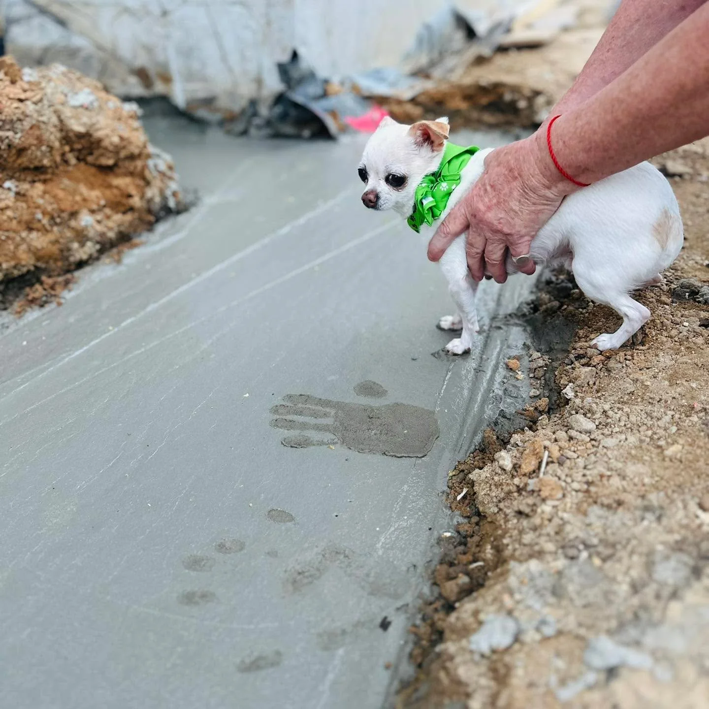 🔨 Somerville Build Update 🐾

Our new clinic is taking shape! The building is now fully clad and the first base coat of paint is on. Electrical and ventilation works are underway, and the concrete has been poured for the verandah and entry ramp.

Be