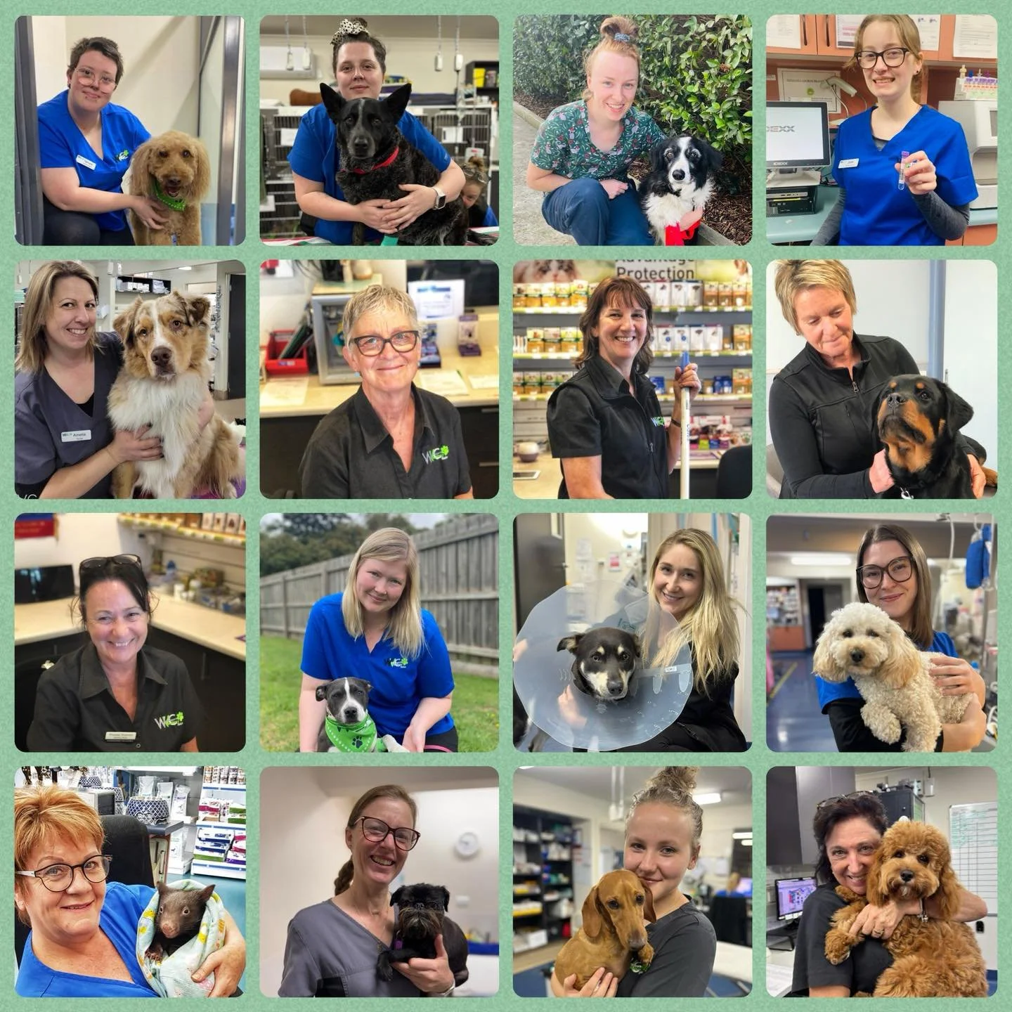 🌿 Veterinary Nurse Day 2025 🌿

Today we celebrate the dedication, compassion and expertise of our veterinary nurses.

Our nurses are the quiet strength behind every patient &mdash; monitoring anaesthetics, assisting in surgery, running diagnostics,