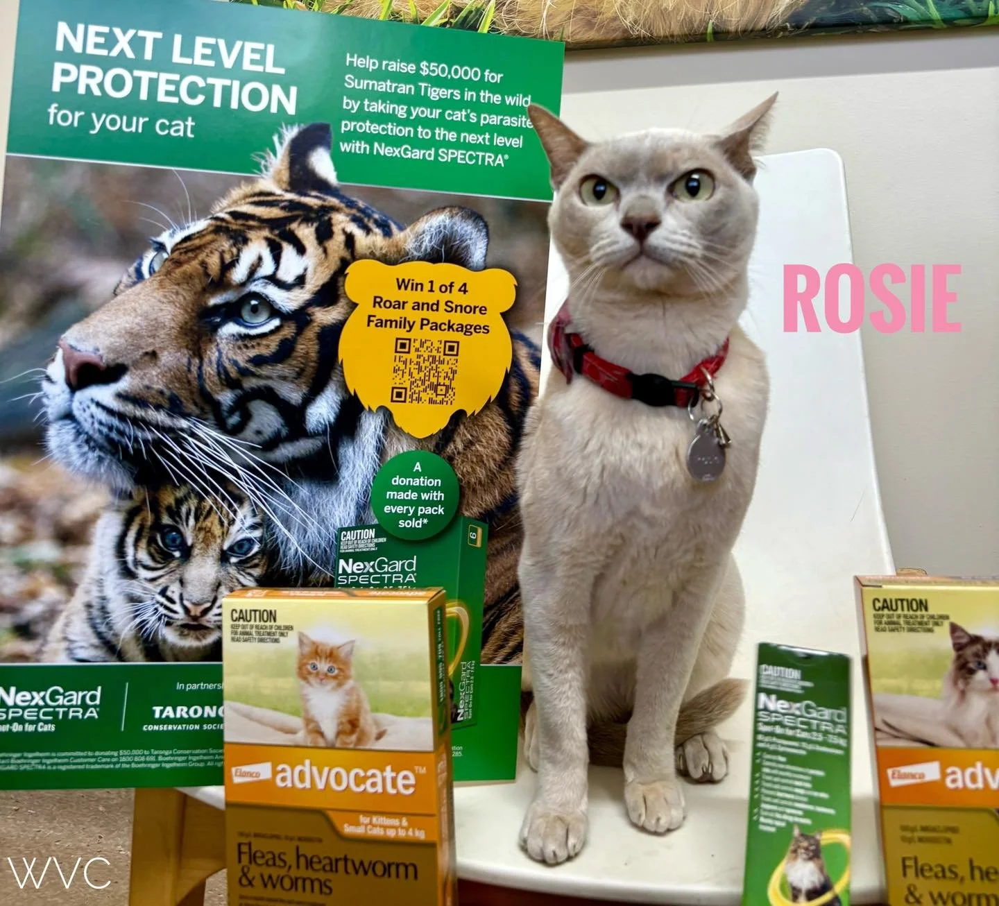 🐾 Advocate &amp; NexGard Spectra Promotion! 🐾

Is your pet protected with Advocate or NexGard Spectra? We have a new promotion at our clinics and  Dr. Britt&rsquo;s cat Rosie came in to check it out! 💚

🌟 Special Offer:
➡️ Buy a 6-month pack of A