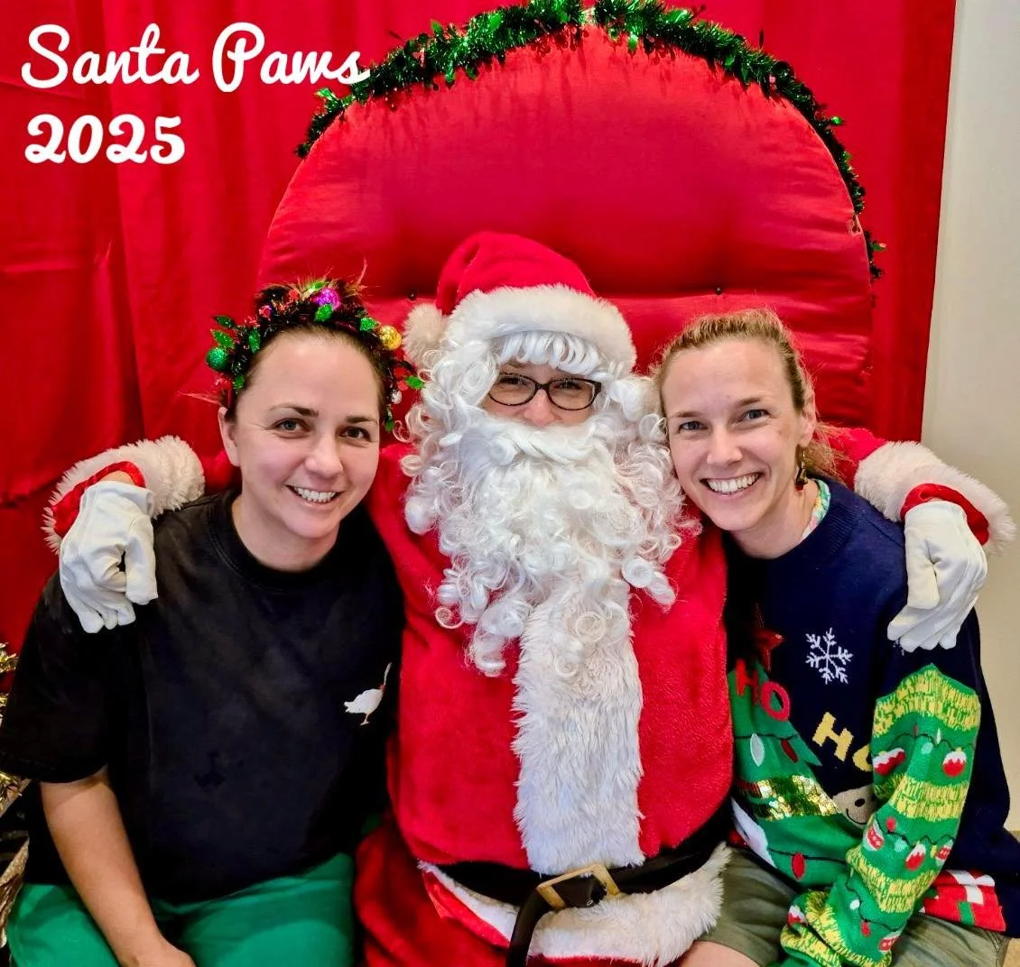 🎅🐾 Santa Paws 2025 &ndash; thank you! 

A huge thank you to Abbey and Jess for running Santa Paws last weekend, and to Sarah P for bravely stepping into the red and white suit 🎄✨
We know how much fun this event brings each year, and we&rsquo;re so