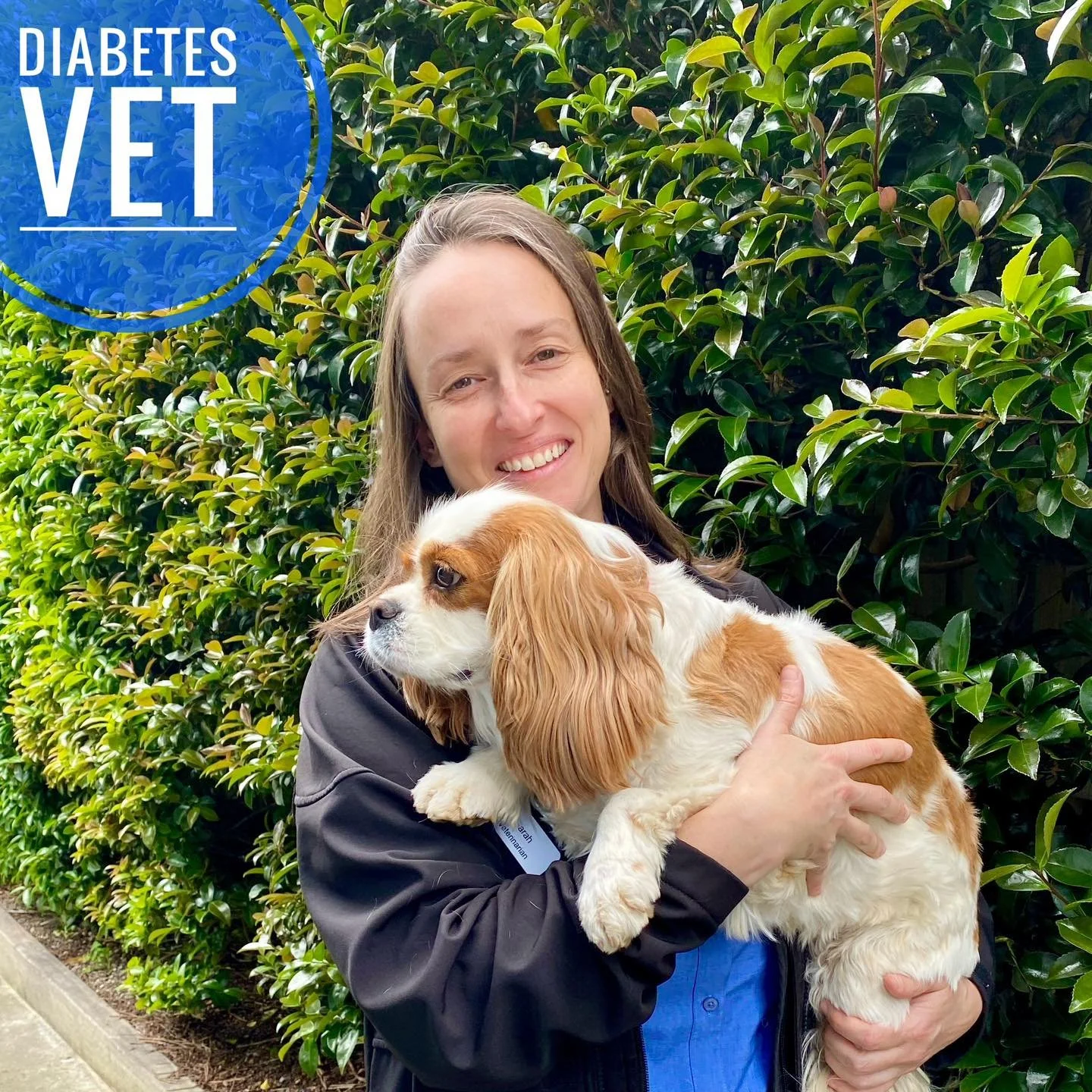 🐾 Diabetes Vet &ndash; Now Available at Westernport Veterinary Clinics 🩺

Dr Sarah Pierard is now providing a dedicated support service for pets living with diabetes and Cushing&rsquo;s syndrome at Westernport Veterinary Clinics.

Having worked at 