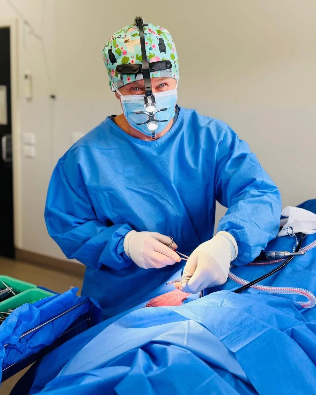 Exciting news for 2026! 🐾

Specialist surgeon Dr Arthur House (@drarthurhouse) will be available at our WVC Hastings branch from January.

This service will complement the skills of our general practice team, providing specialist-level soft tissue, 