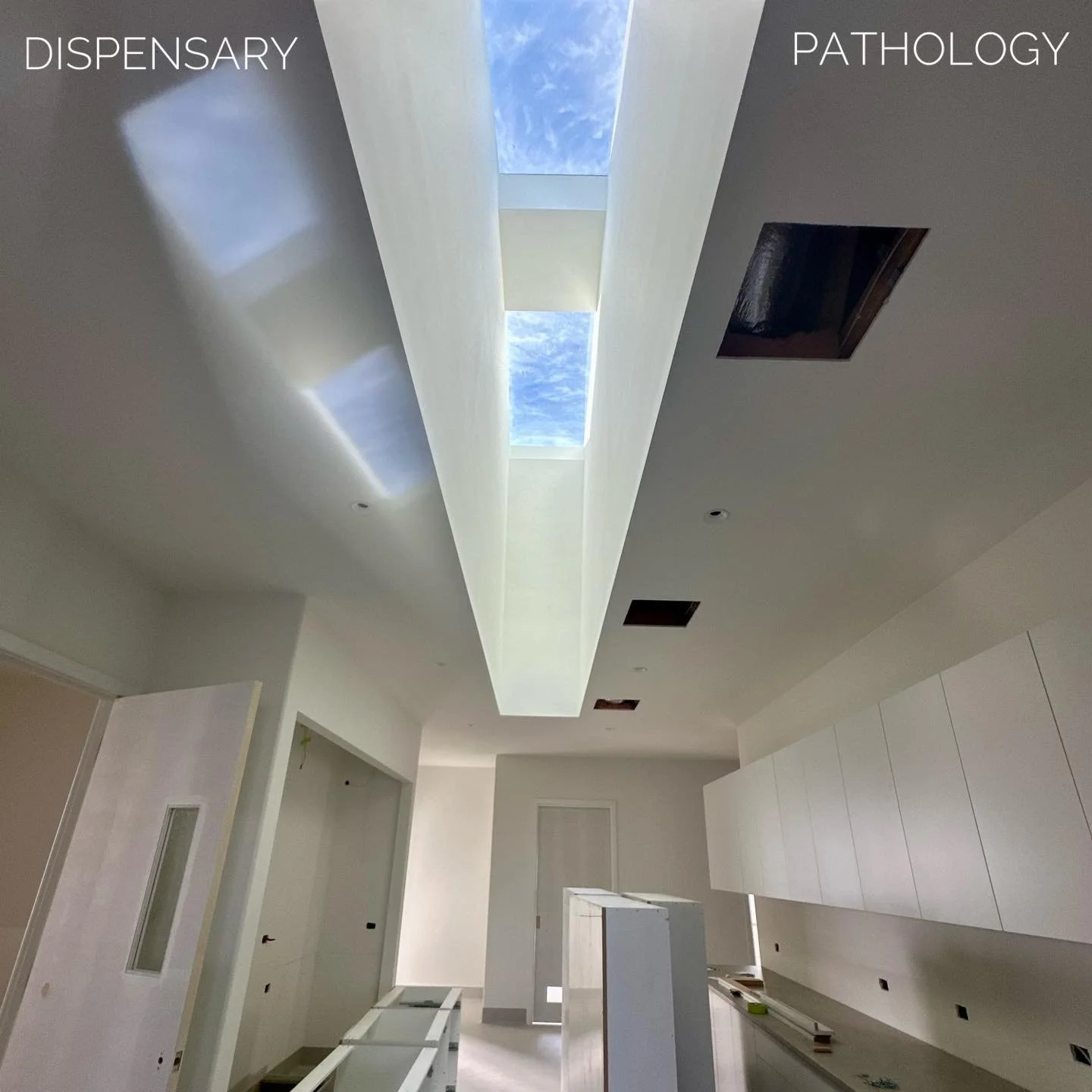 ✨ Somerville Clinic Update ✨

Our new clinic build is really taking shape! Over the past few weeks, final painting and flooring have been completed, cabinetry is going in, and cages are being built &mdash; it&rsquo;s so exciting to see the spaces com