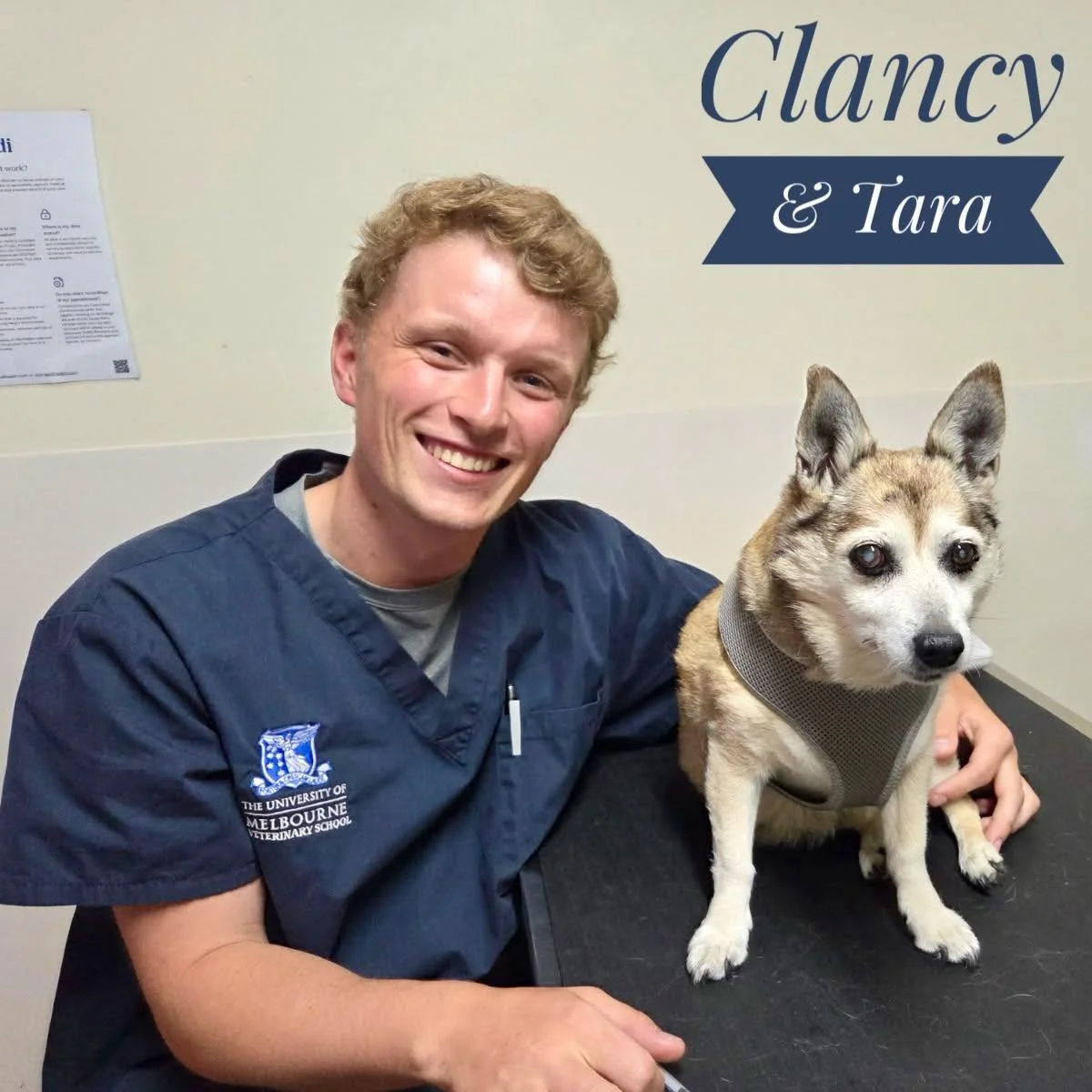 📖 Westernport Vet Clinics is proud to support veterinary students from universities across Australia as they complete their clinical placements. 🩺🐾

Students including Ana and Clancy spent part of the university summer break learning alongside our