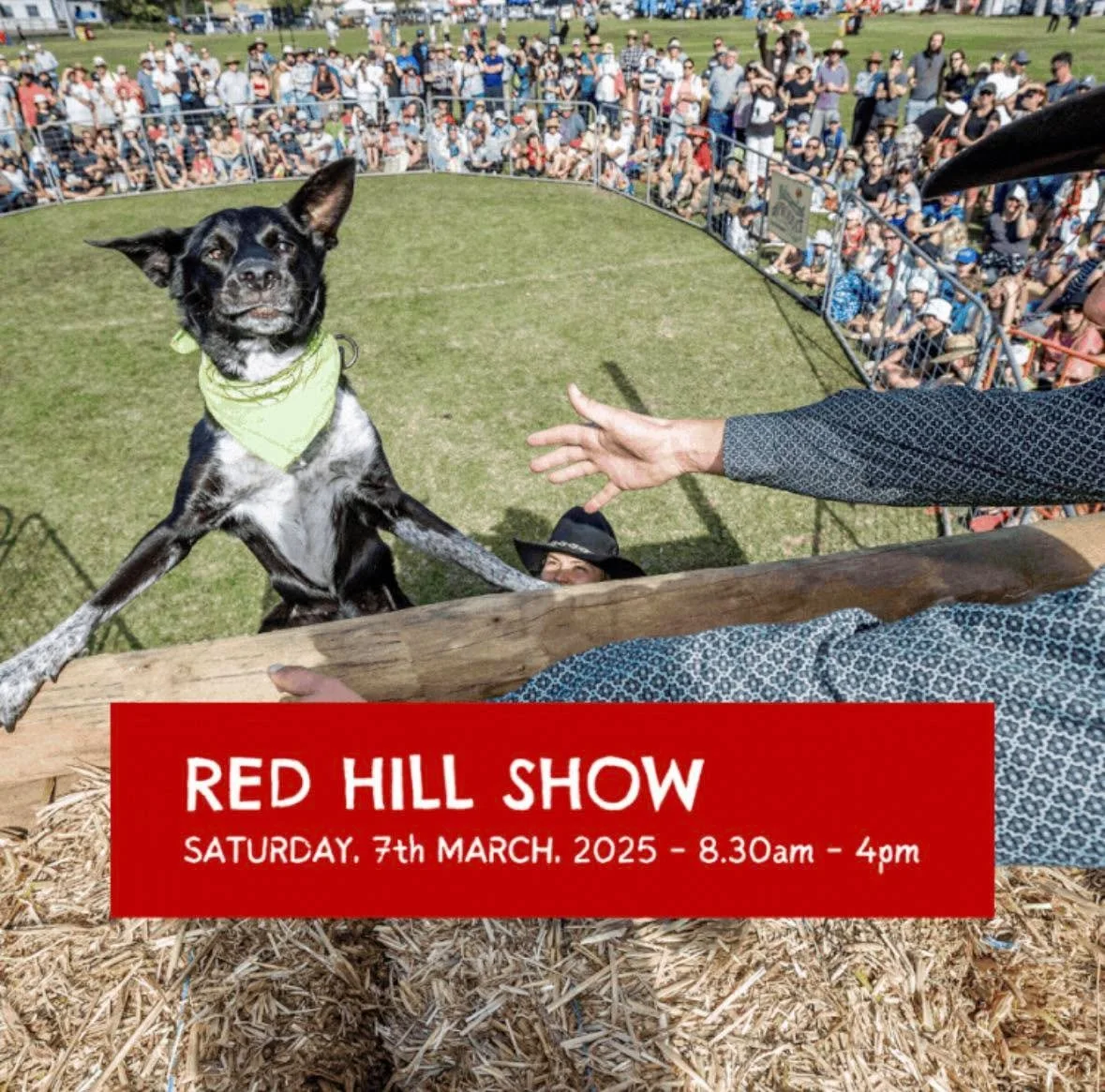🐾We&rsquo;re thrilled to continue our support as a proud sponsor of the Red Hill Show &ndash; a true celebration of agriculture! 🌾🐄🍎

Head up the hill tomorrow for an incredible day filled with farm animals, award winning apple pies, local produc