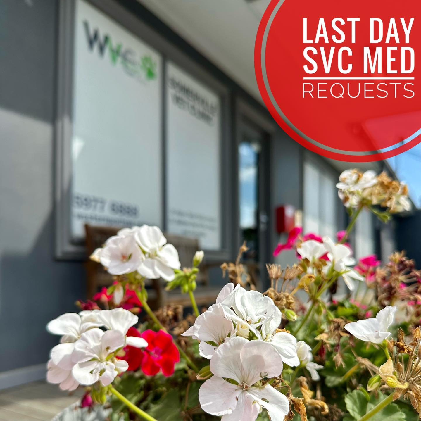 Today is the final day to order medication for collection at Somerville Vet Clinic 💊

As we get ready to complete our exciting new build, the Somerville clinic will be temporarily closed from Wednesday 25th March (with Tuesday 24th March our last op