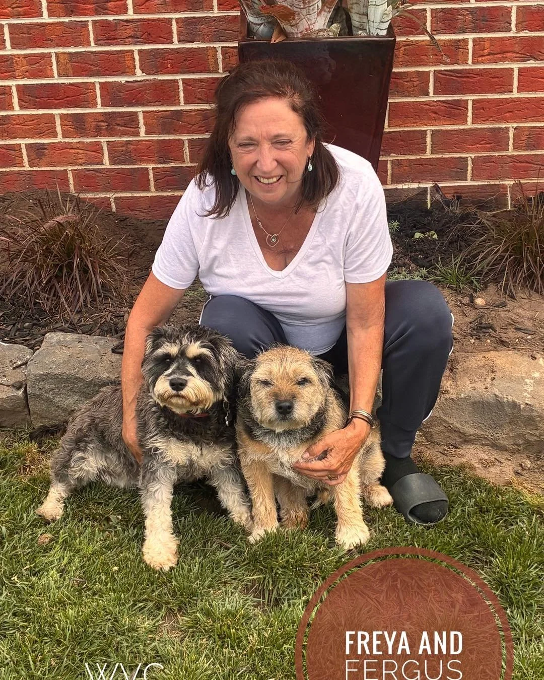 🐾🌊 Freya &amp; Fergus &ndash; Beach Day Besties 🚤☀️

Freya the 18month old Miniature Schnauzer and Fergus the 11 year old Border Terrier belong to our vet nurse Lesley. They know how to make the most of a good day by the water. Whether it&rsquo;s 
