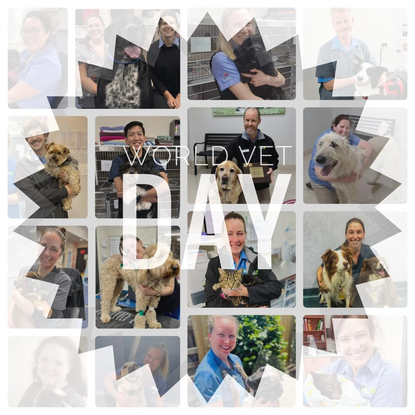 Today we celebrate World Veterinary Day and this year&rsquo;s theme: &ldquo;Veterinarians: Guardians of Food and Health.&rdquo;

While this highlights the important role vets play in food safety and public health, it also reflects the everyday work h