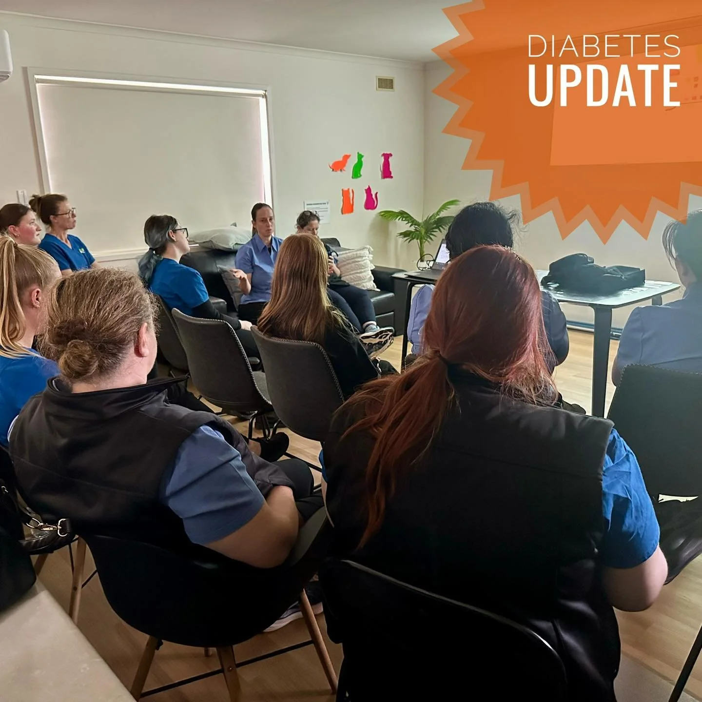 We were lucky to have one of our own, Dr Sarah Pierard, present a recent lunchtime seminar for the whole WVC vet and nurse team. With 7 years of experience at Animal Diabetes Australia, Sarah brings an incredible depth of knowledge about diabetes man