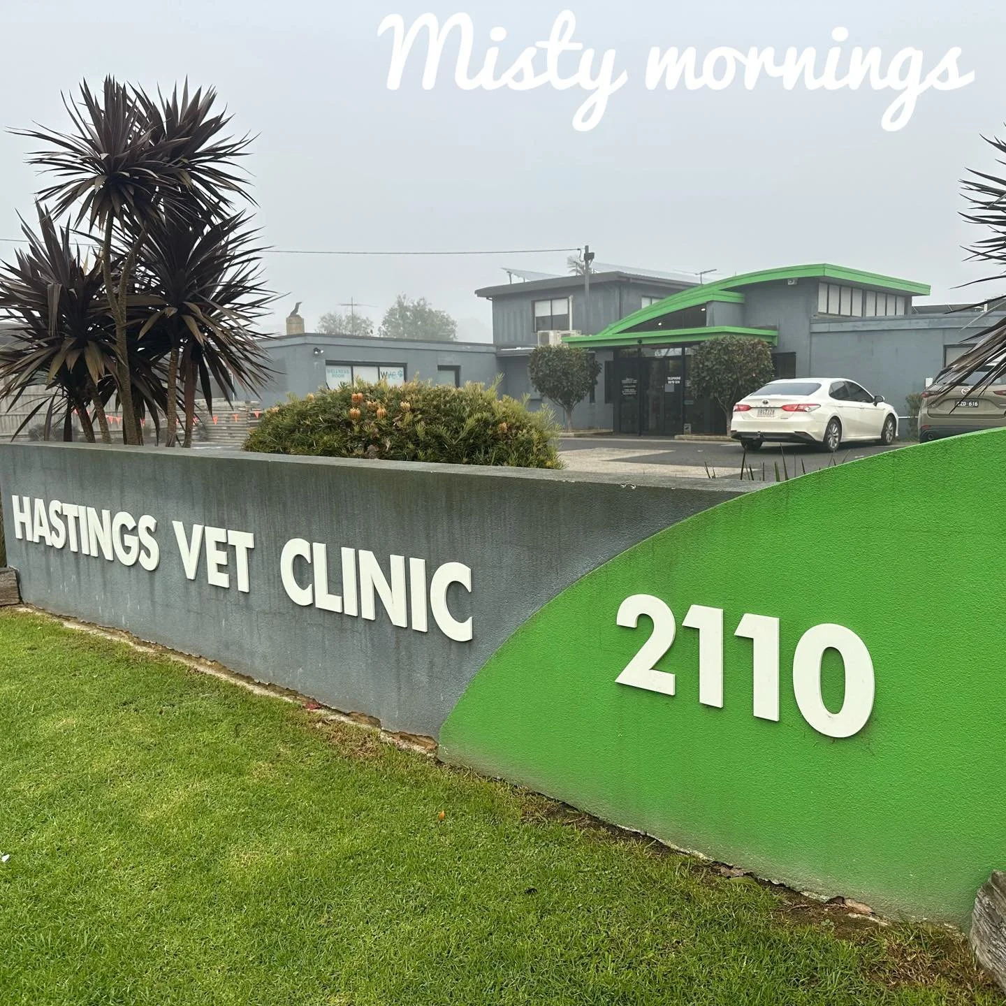 Foggy starts, crisp air, and quiet mornings &mdash; winter is slowly making itself known at Hastings Vet 🌫️🐾 We love these misty mornings before the clinic gets busy for the day.

#westernportvets #peasoup