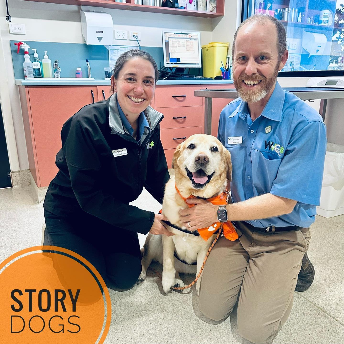A very special visitor popped in to see us recently &mdash; ChaCha the Story Dog 🐶📚

ChaCha was in for her annual health check and vaccination, and as always, she was the perfect patient (with plenty of tail wags included!).

Story Dogs play such a