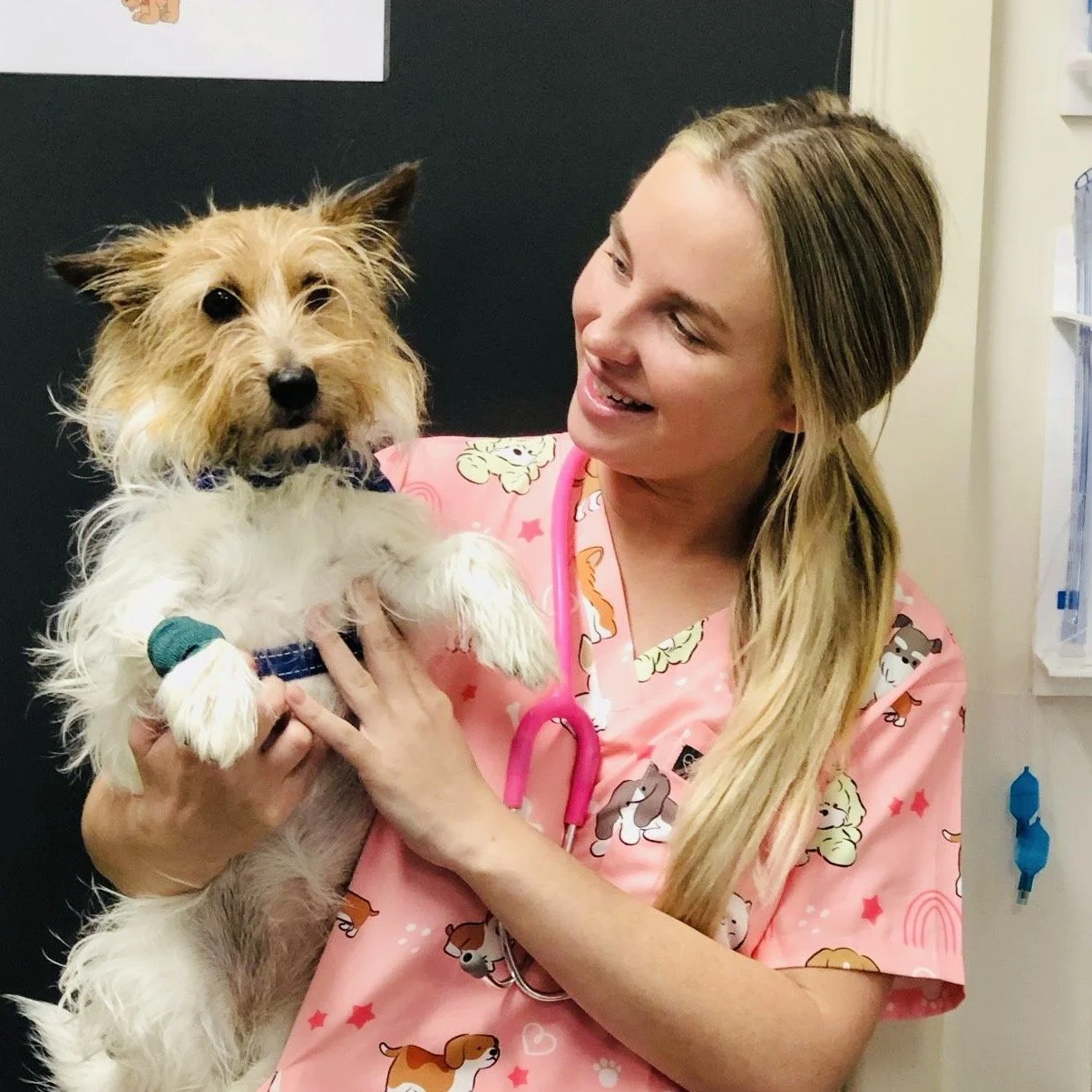 A young woman in pink veterinary scrubs holding a small, scruffy dog with a medical bandage on its front leg, smiling at the dog in a clinic or animal hospital.