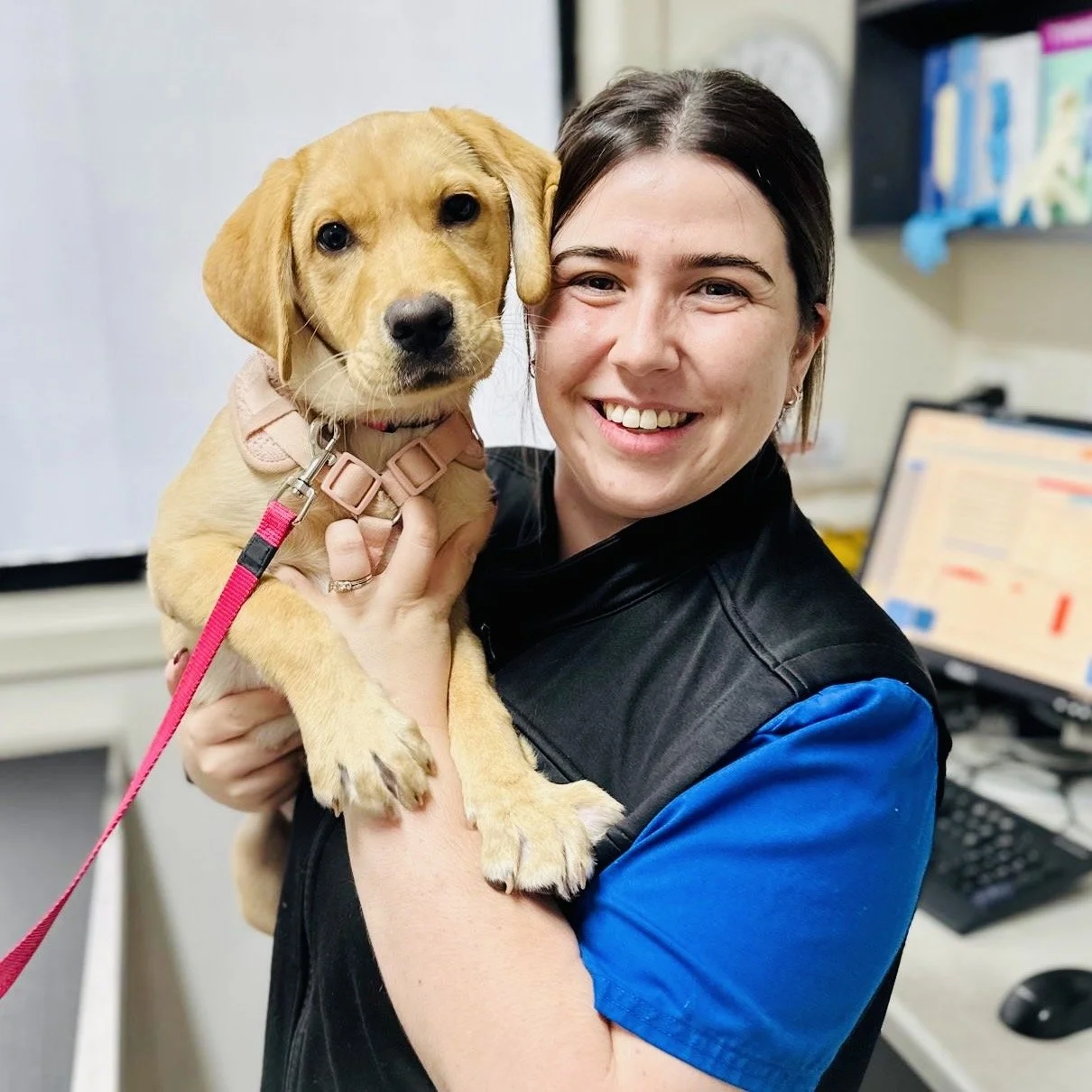 Smiling woman holding a small tan puppy with floppy ears inside an office