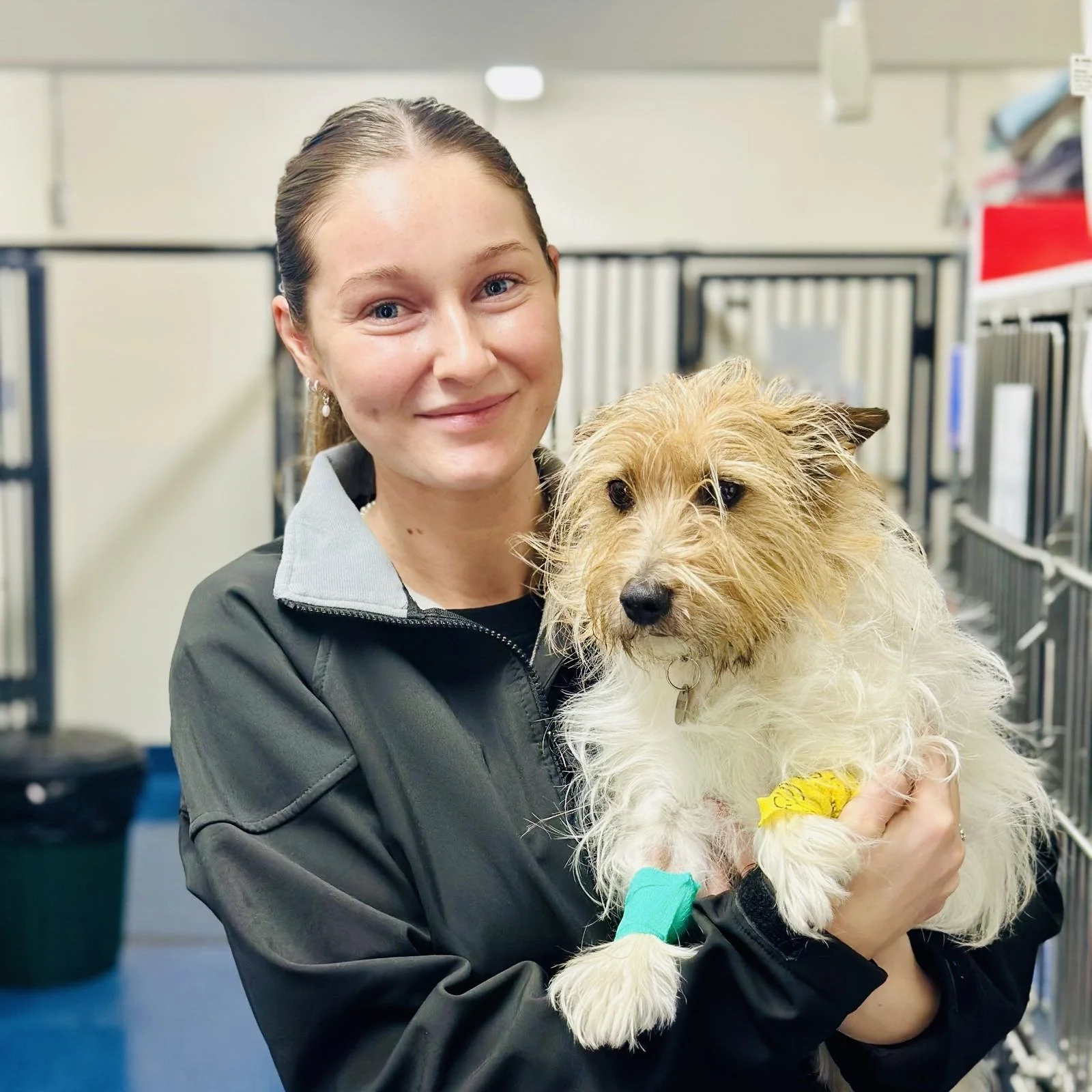 A woman holding a scruffy, tan and white dog with bandages on its front paws in a kennel or animal shelter.