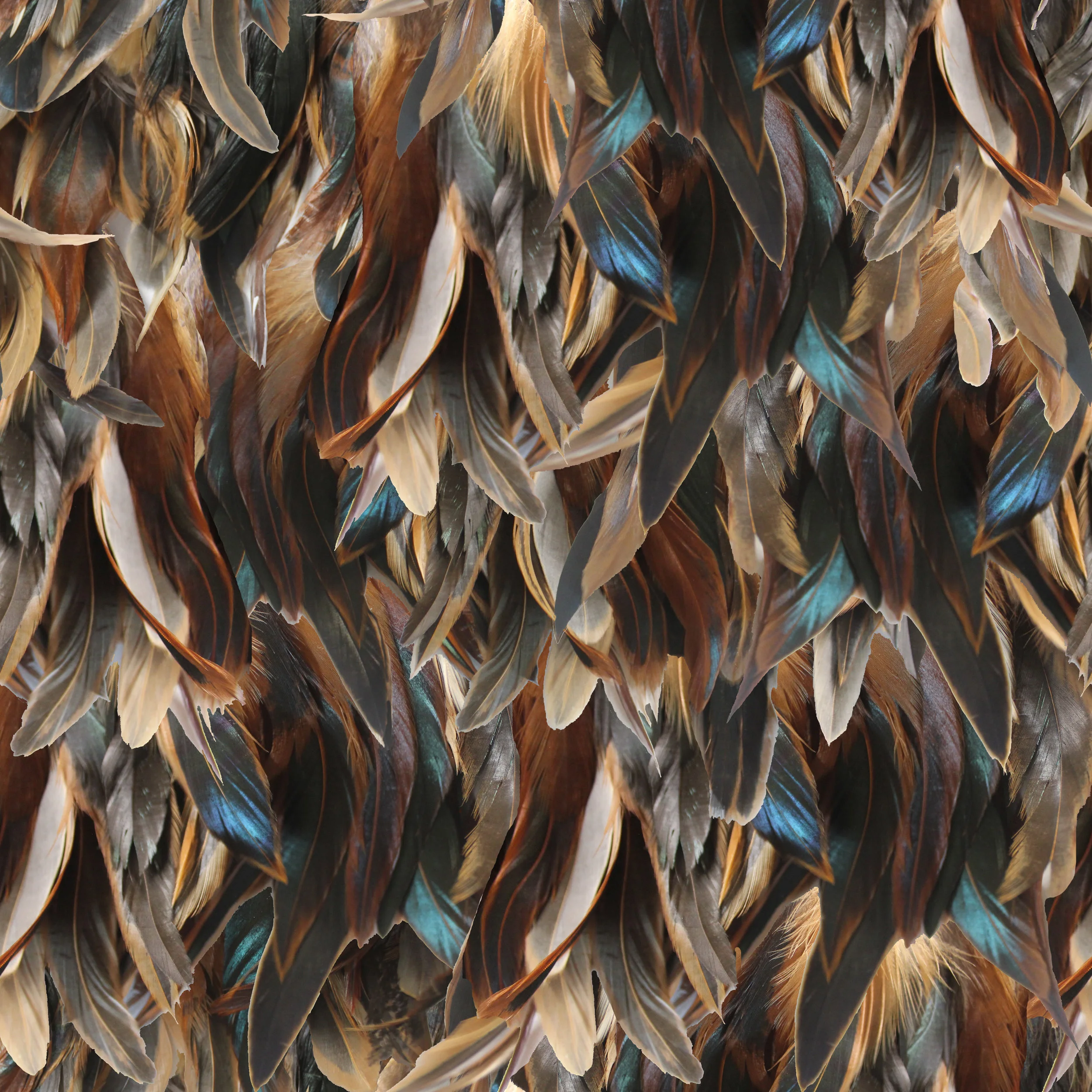 feathermock.jpg