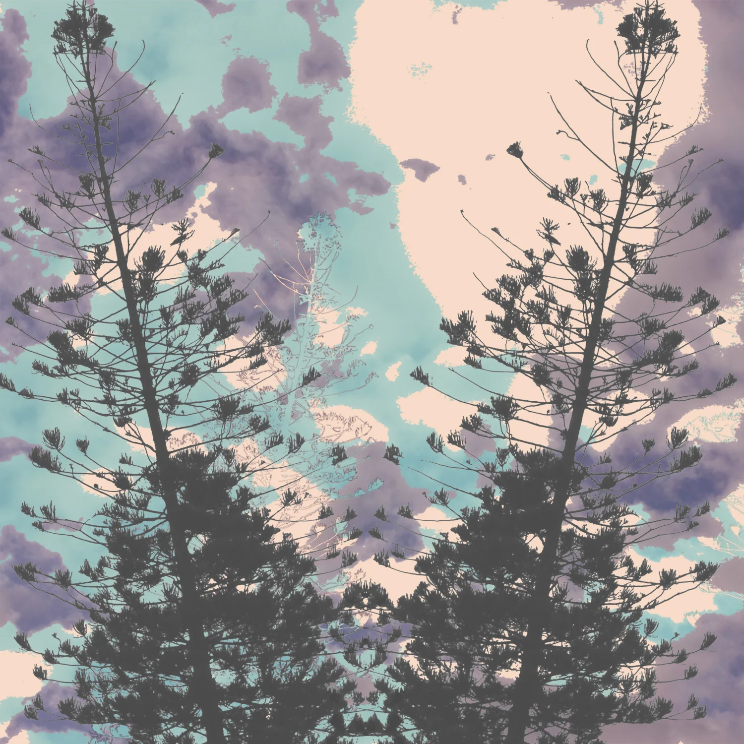 19b93615263431.5628eda624431.jpg