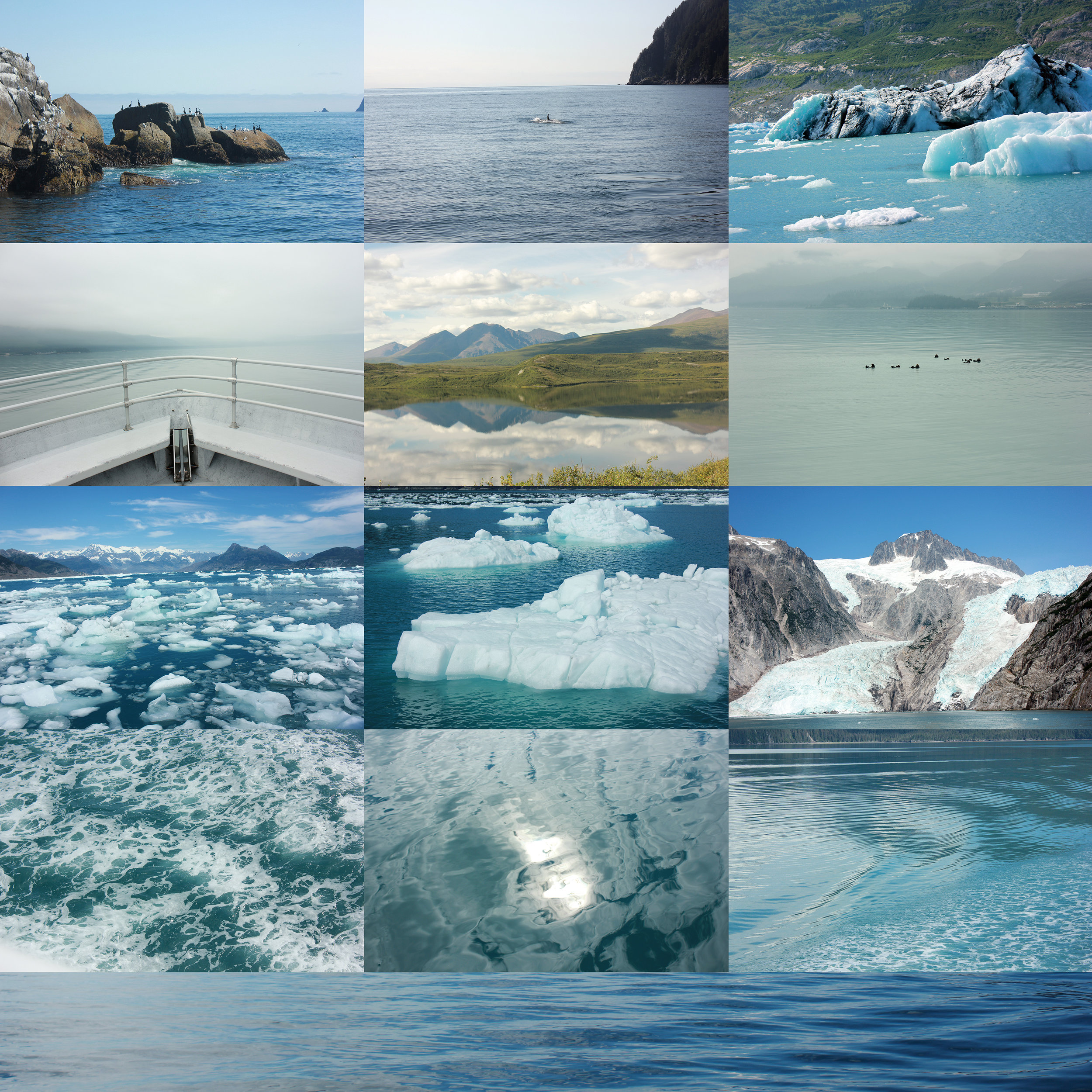 PolarBoard.jpg