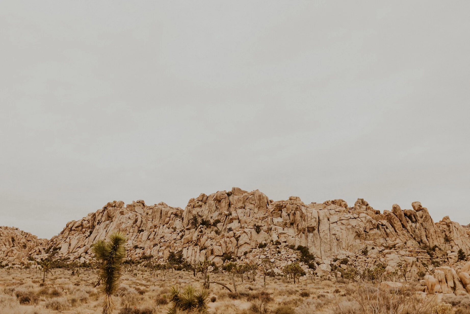 Hemingway, Joshua Tree National Park