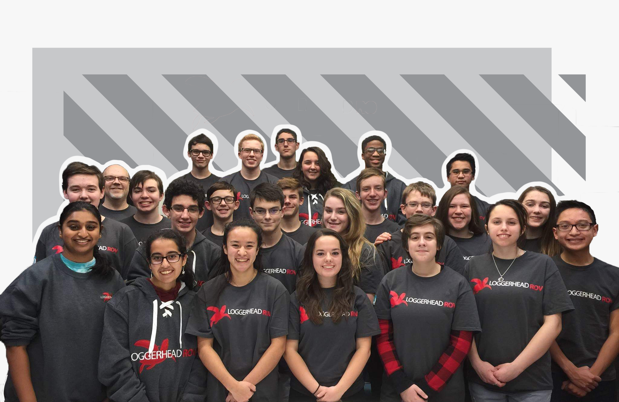 loggerhead 2019 team graphic.jpg.png