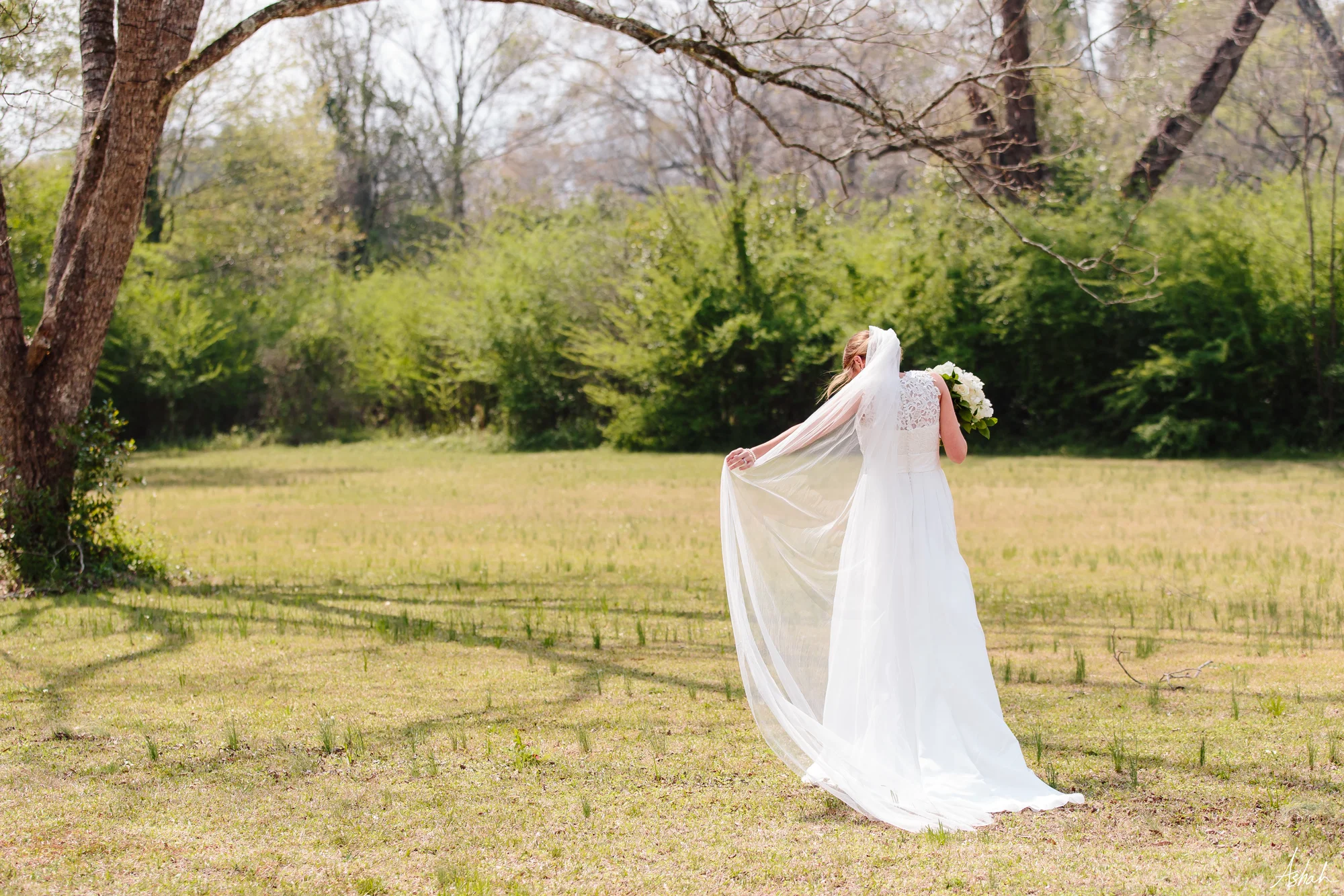 bridegroom029.jpg