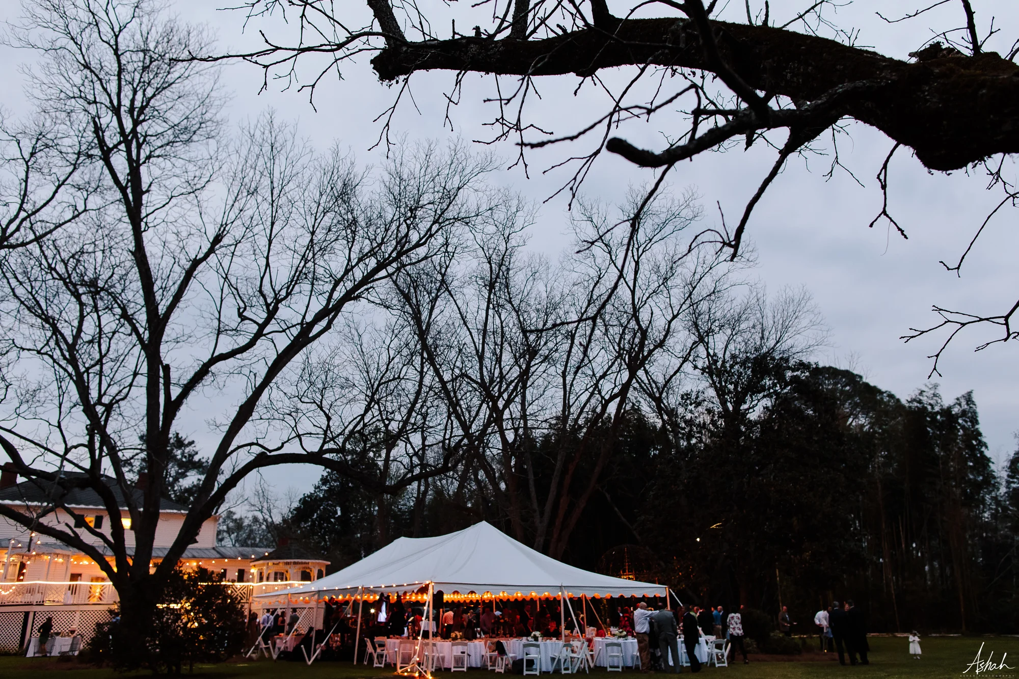 reception242.jpg