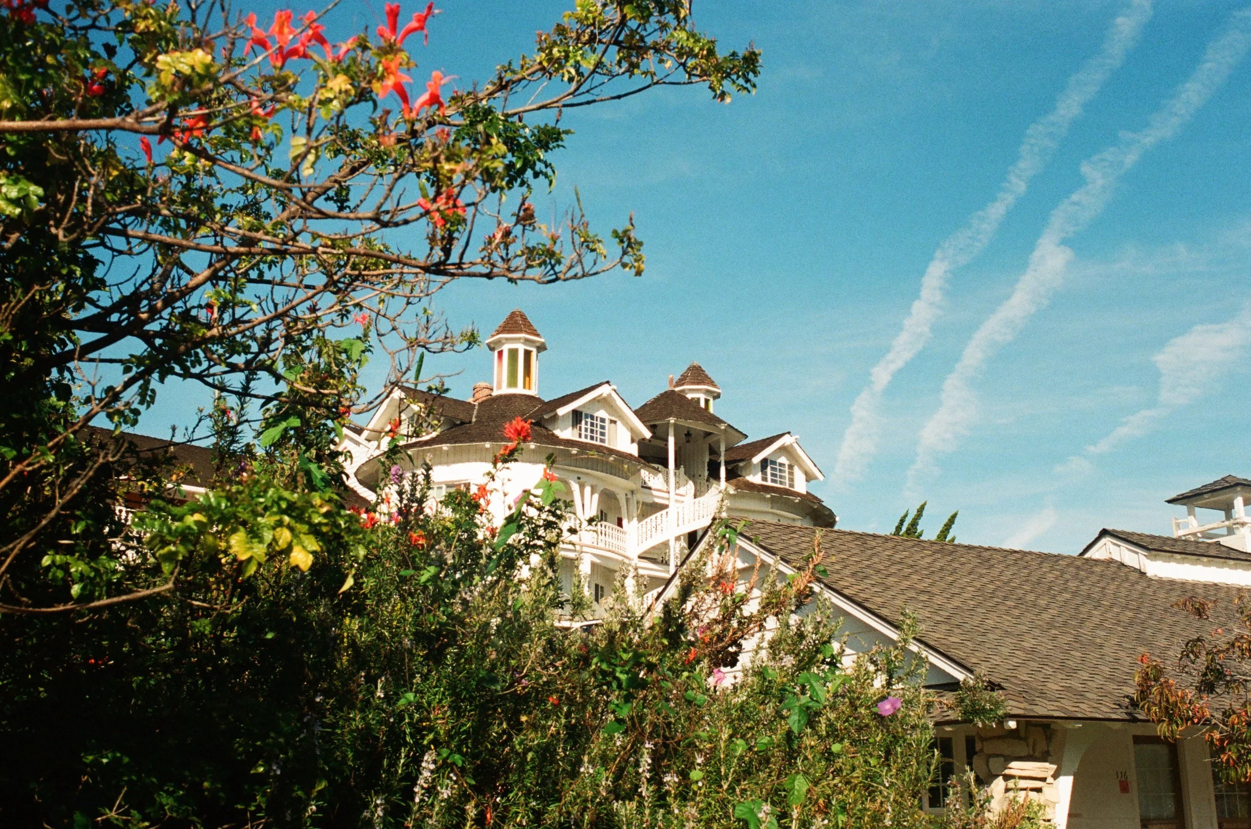 processed_24790017.jpg
