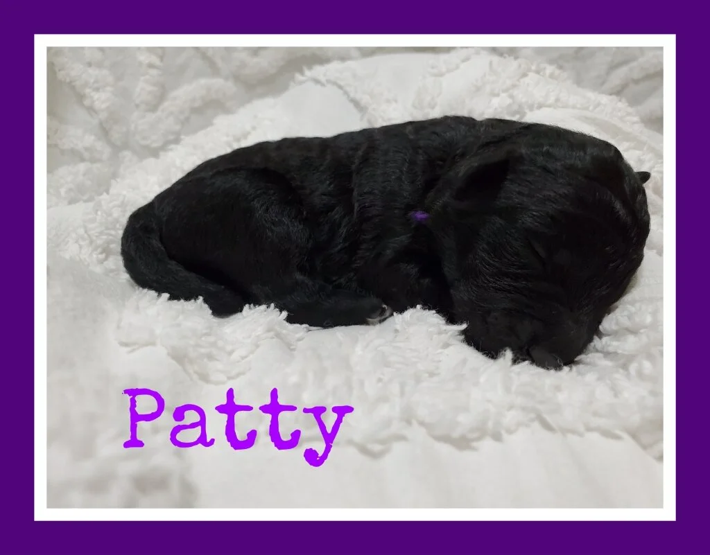 Patty.jpg