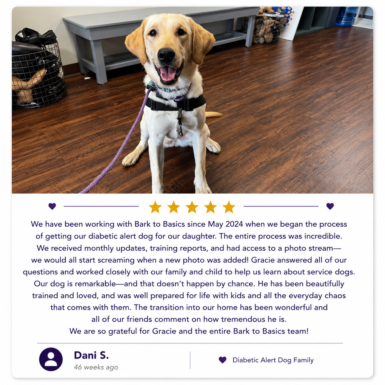 Dani Review.png