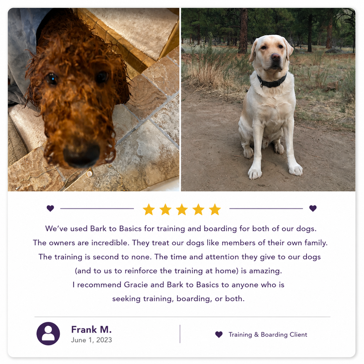 Frank Review.png