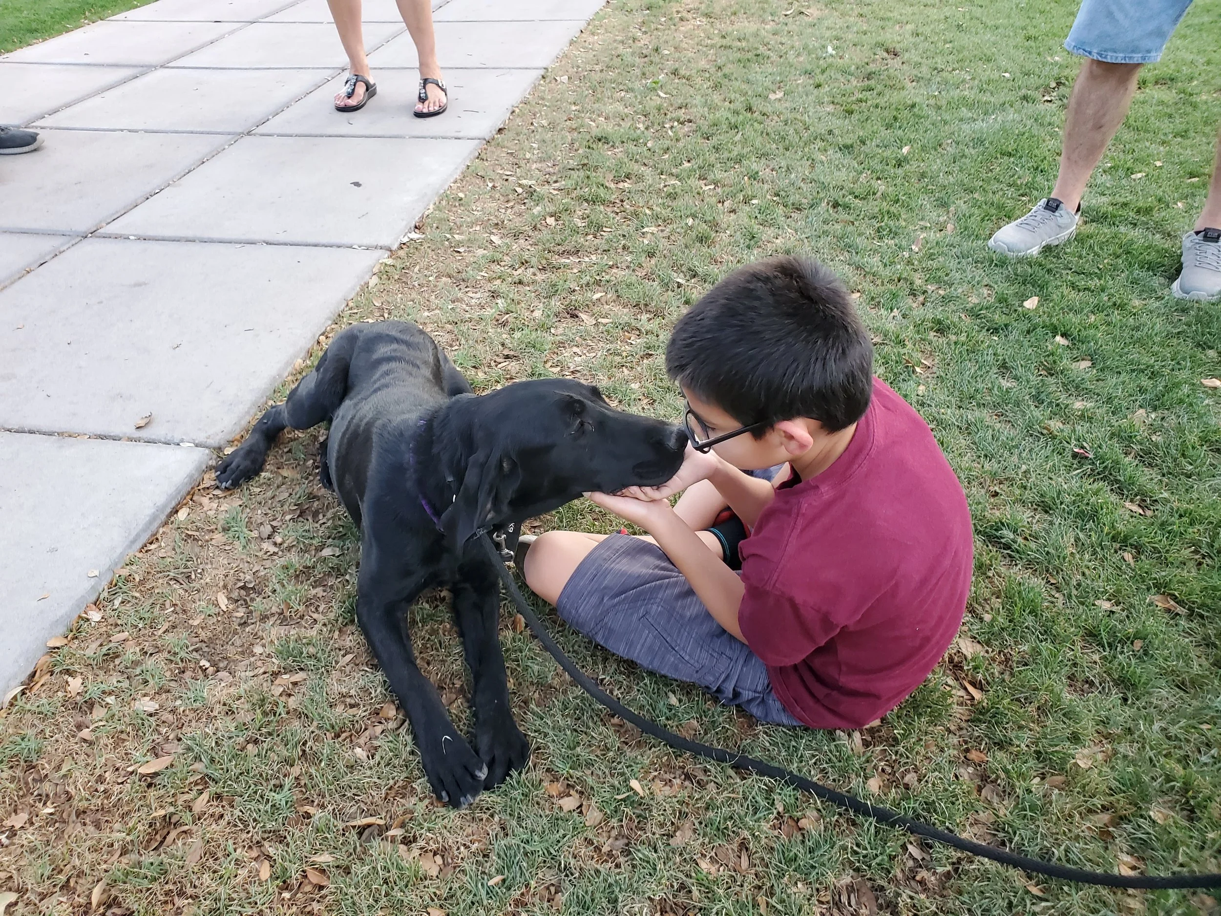 Teen boy relaxing in the grass with his black Labrador psychiatric service dog