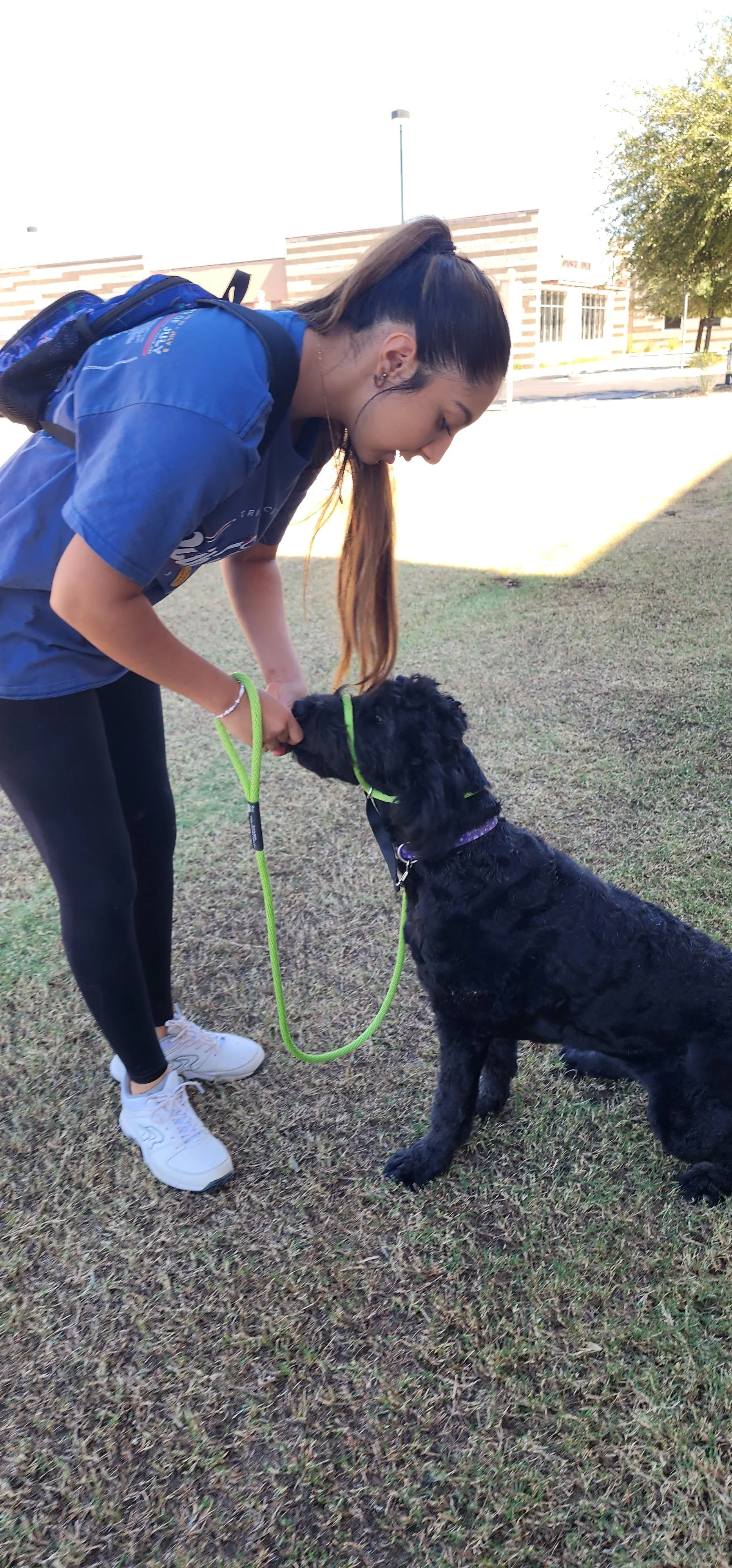 Woman petting her black Labrador psychiatric service dog outdoors