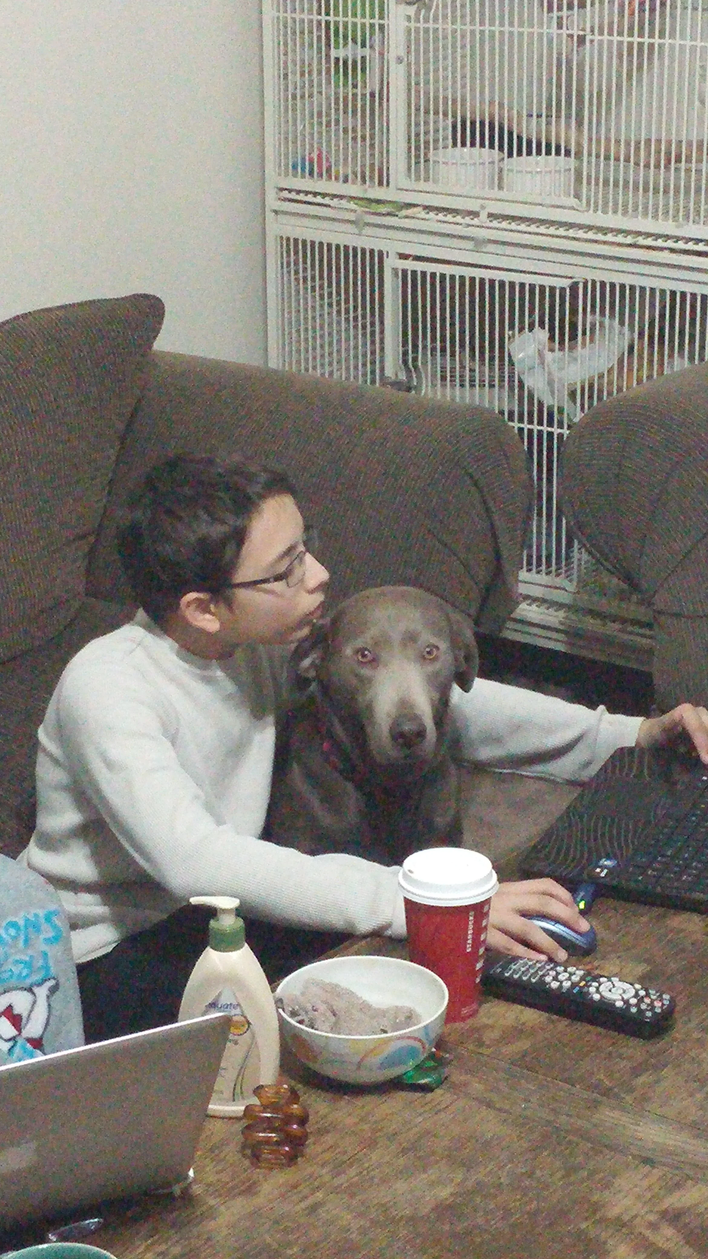 Teen doing homework next to his silver Labrador  service dog.