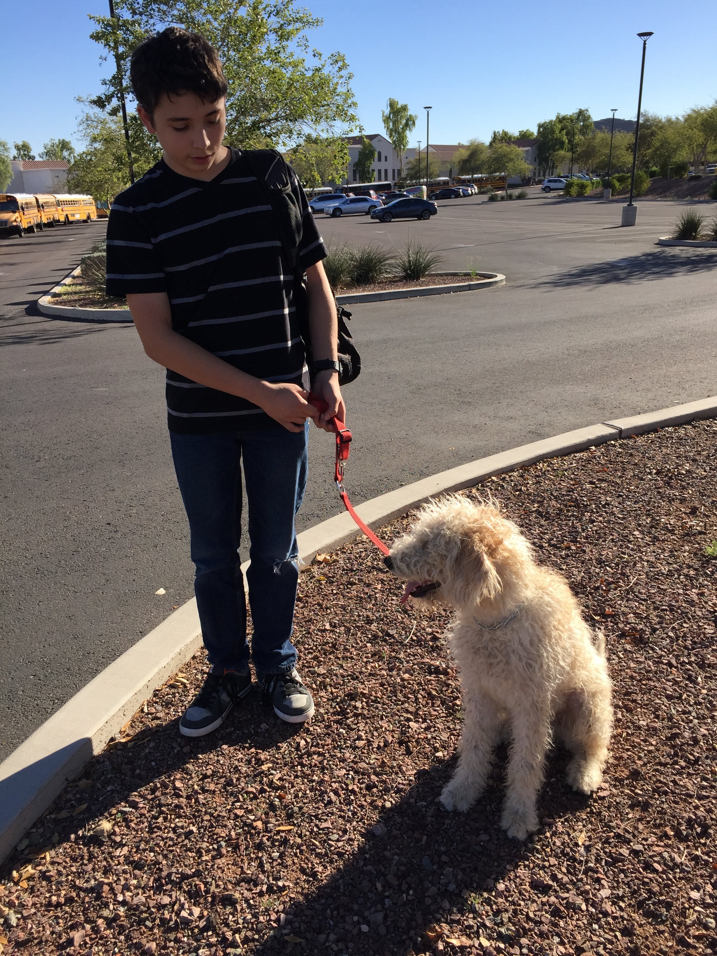 Boy standing out front of school with his Goldendoodle service dog.