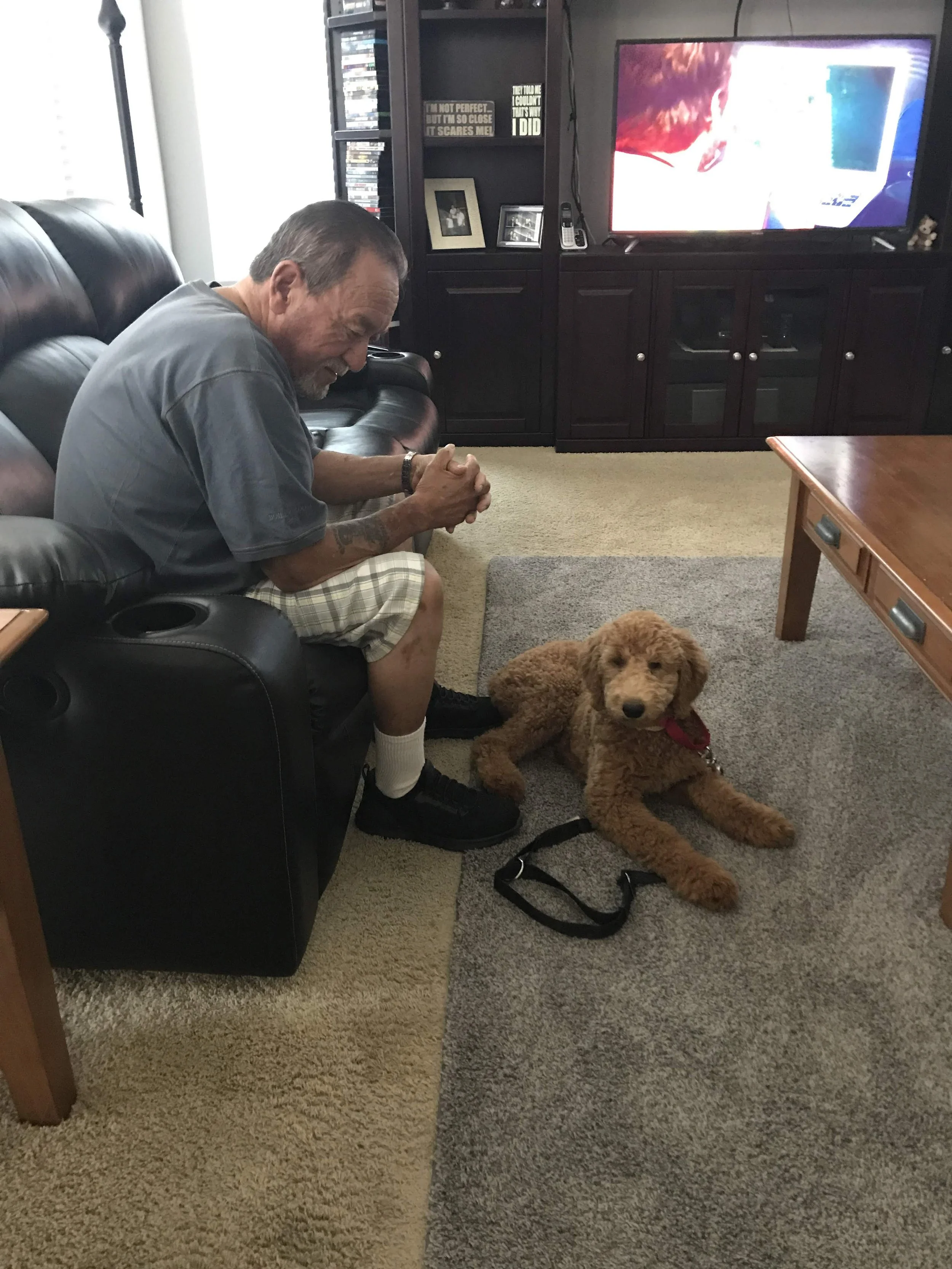 Elderly mand sitting on the sofa with his brown Goldendoodle psychiatric service dog. 