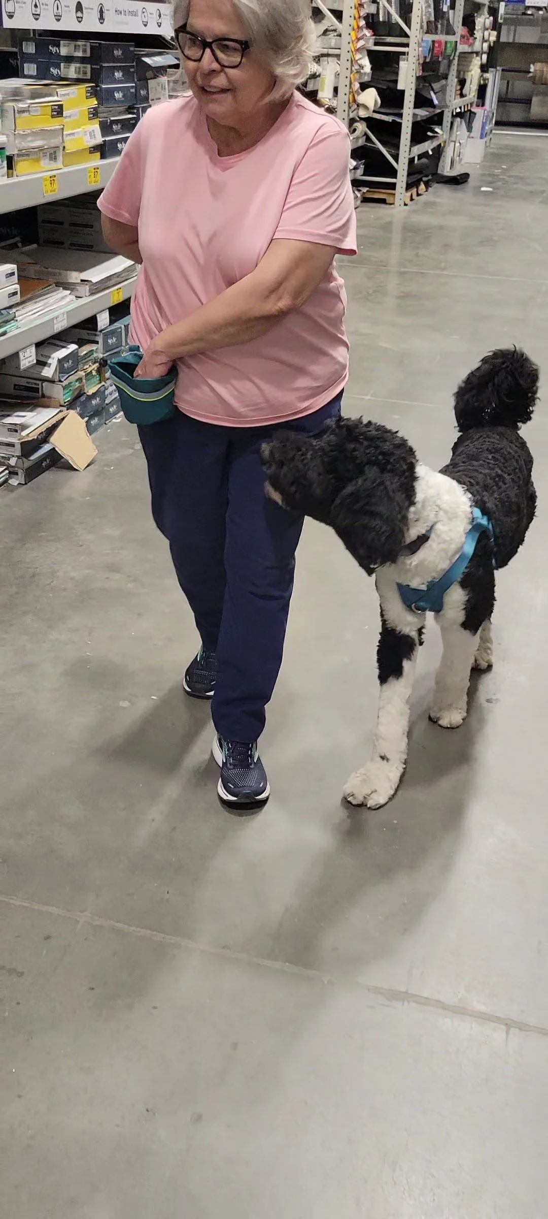 Elderly woman walking in public with her Black and white doodle service dog.
