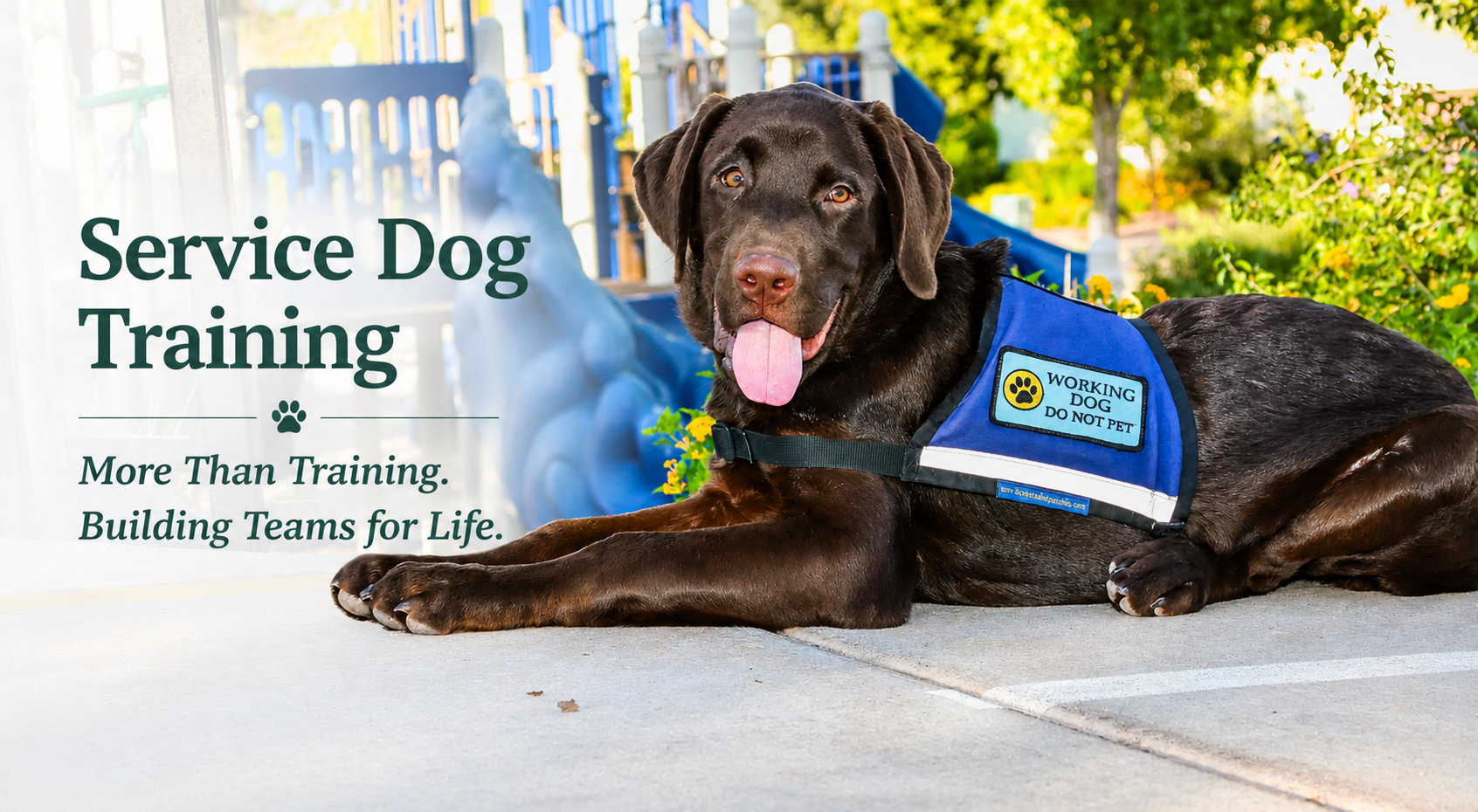 Diabetic alert dog and psychiatric service dog programs.png