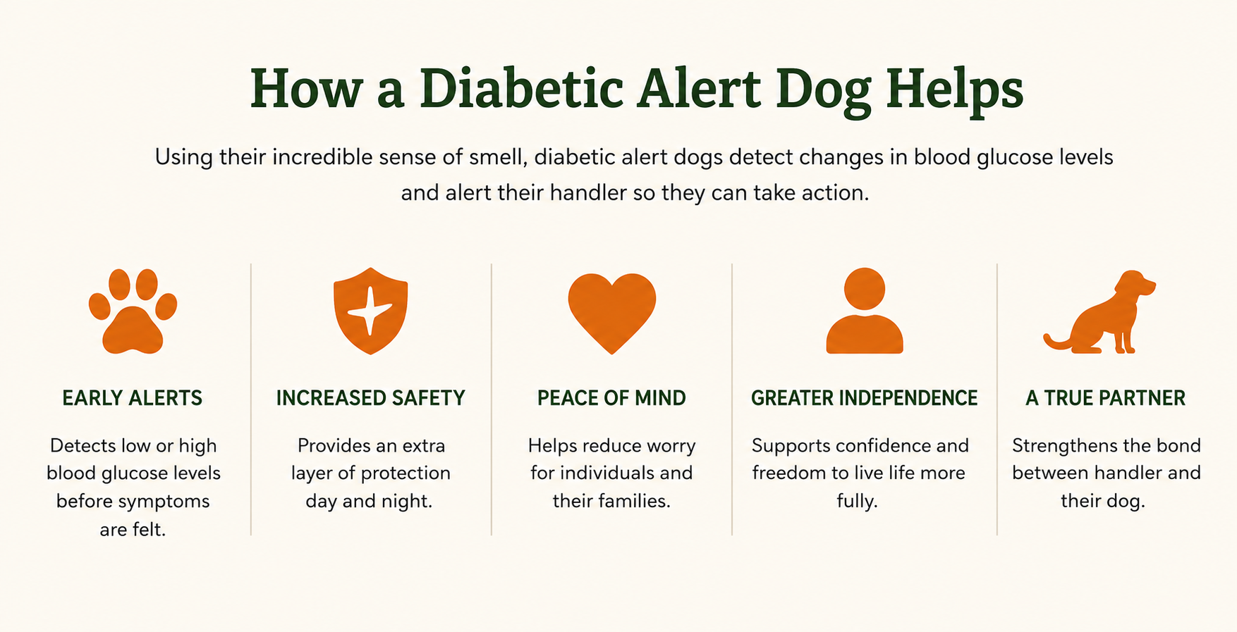 Infographic: How a Diabetic Alert Dog helps with early alerts, safety, peace of mind, and independence.