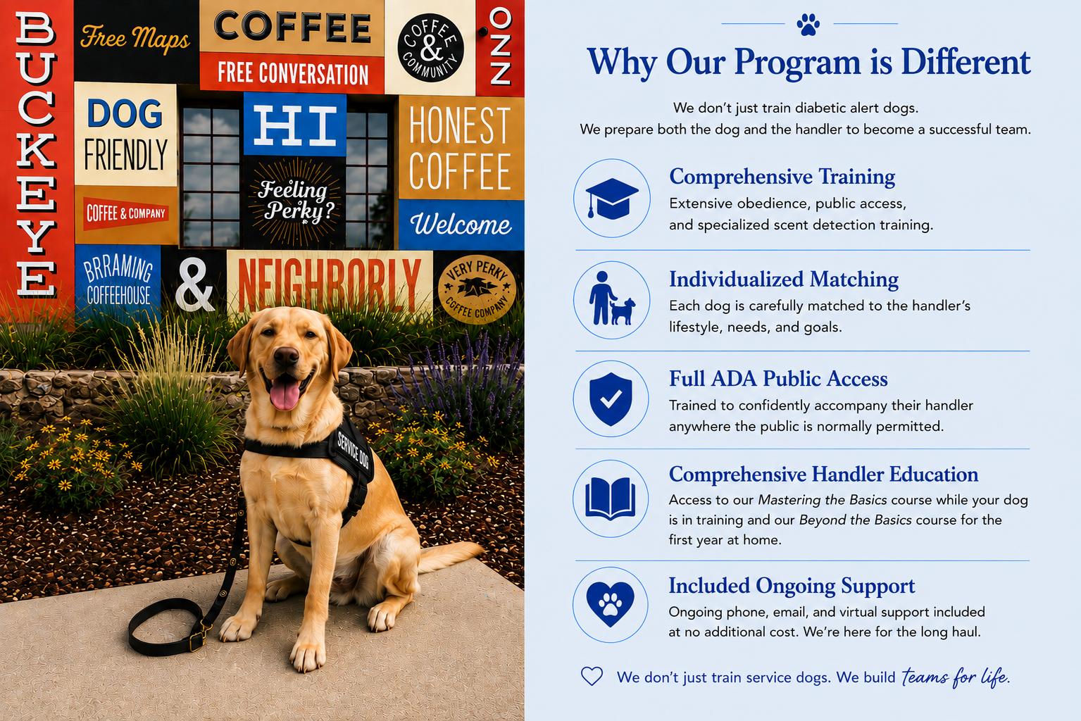 Infographic: Why Our Program is Different, covering training, matching, ADA access, education, and support.