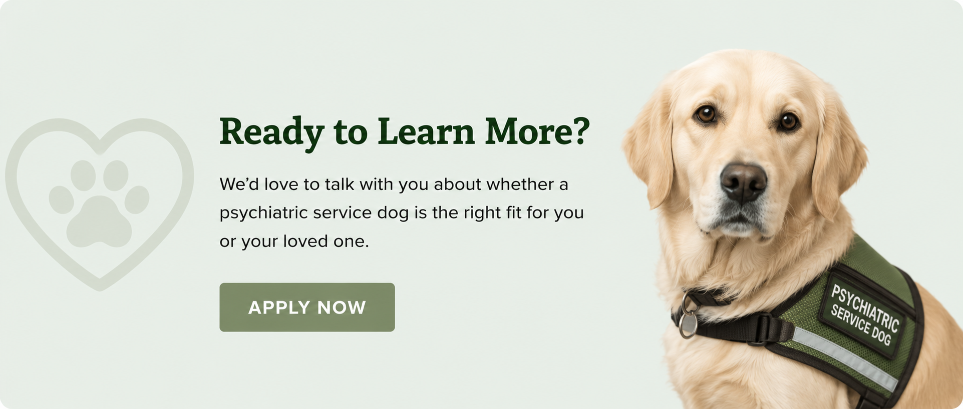 Photo of a Retriever psychiatric service dog with "Ready to Learn More?" call-to-action to apply.