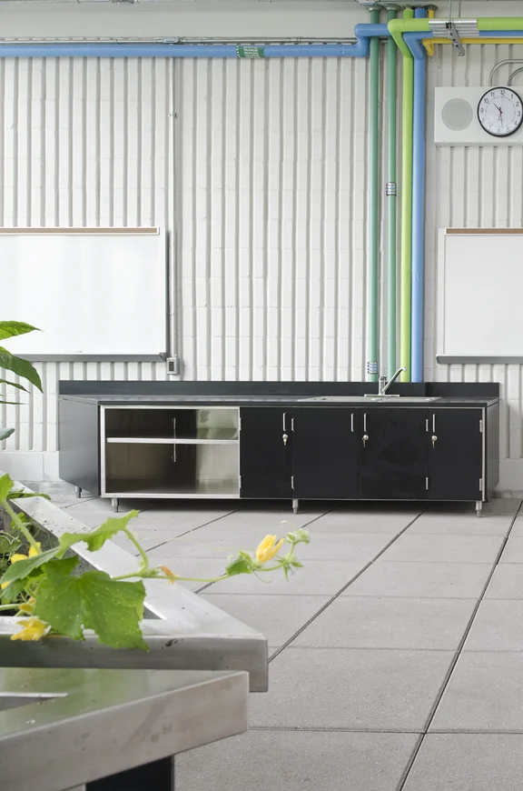 Public School 50M, New York City, NY.