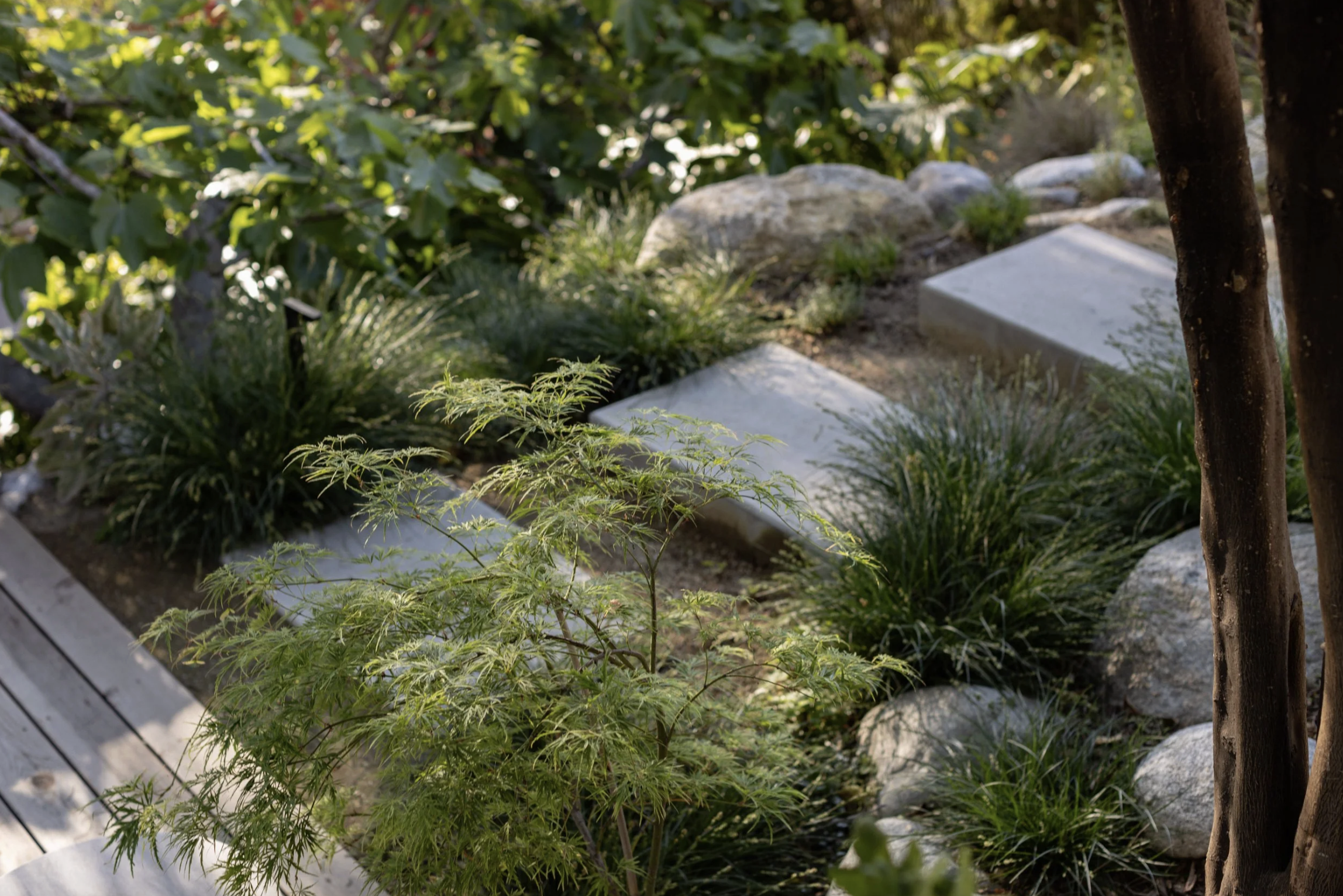 Montecito Heights Residence