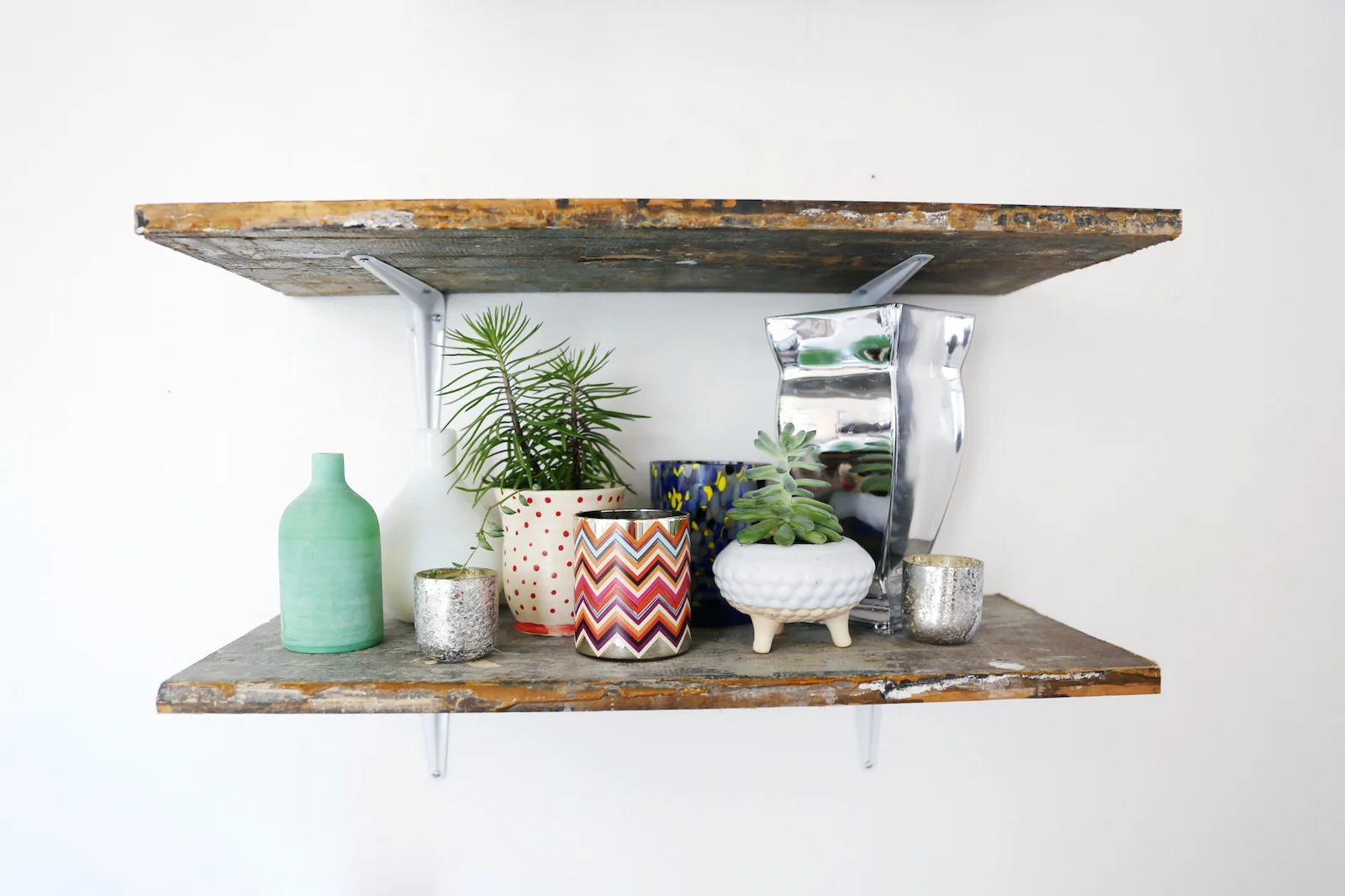 Shelf Focus.jpg