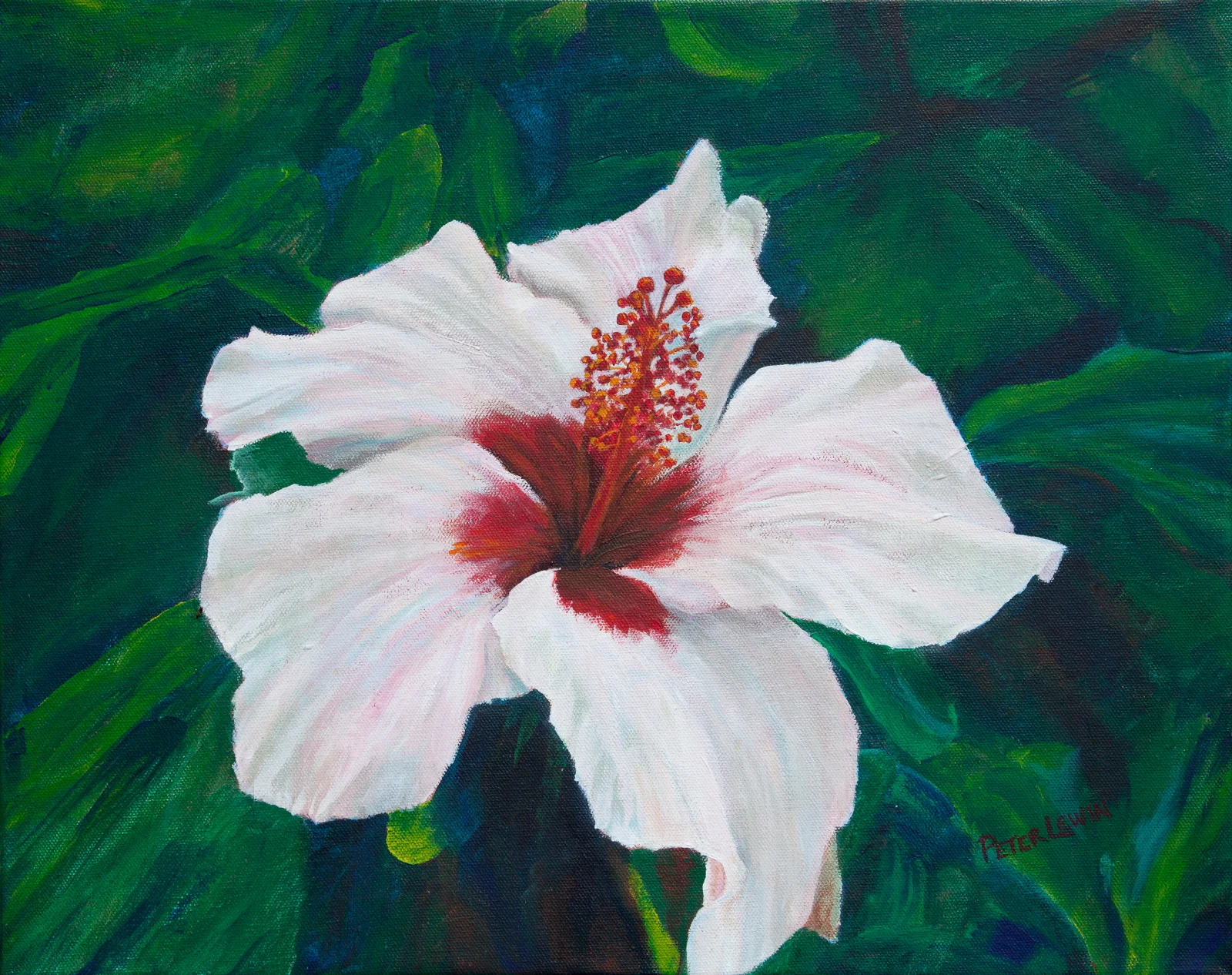 Hibiscus (2019)