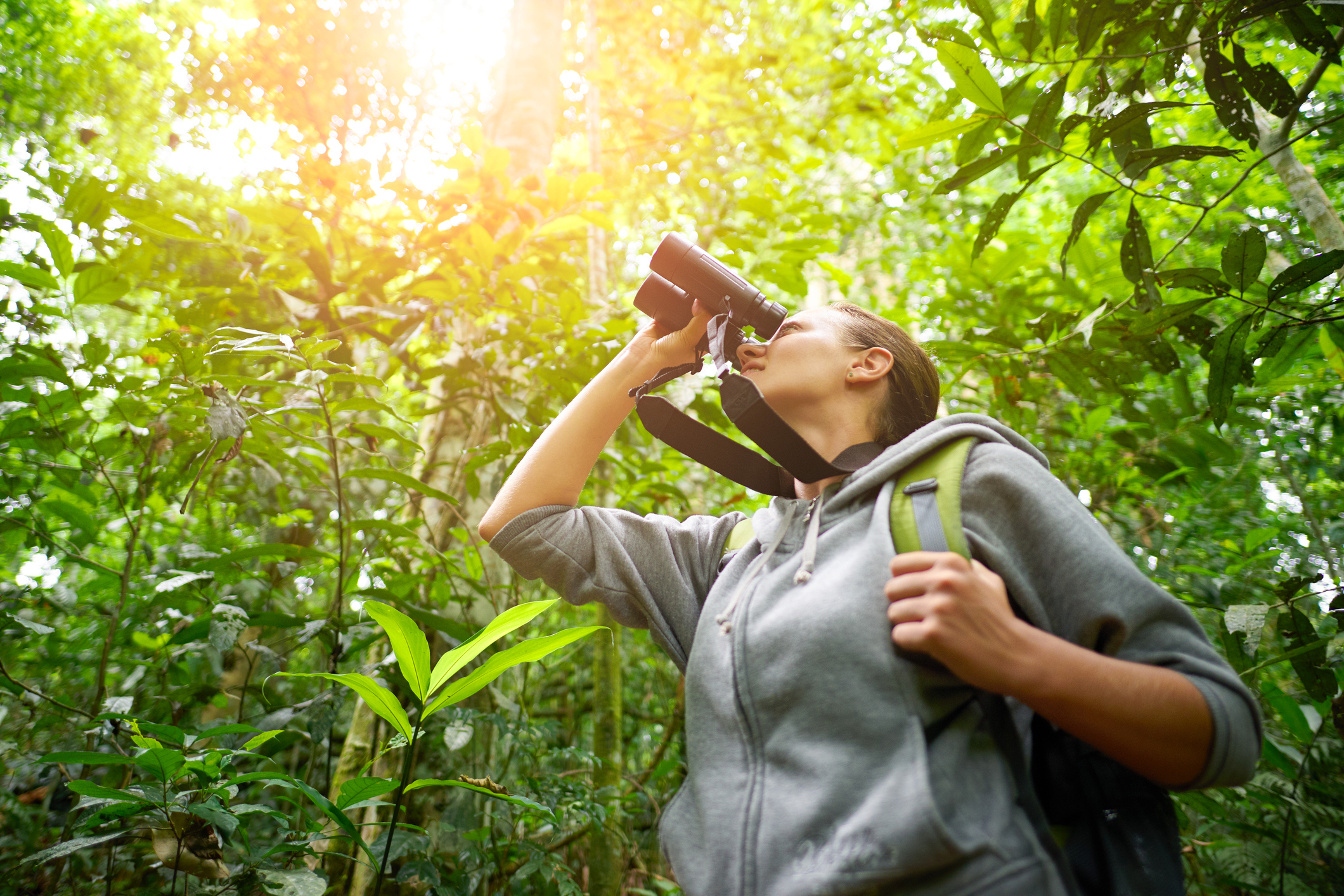Is the coffee career for young professionals a jungle gym? Or just a jungle? Photo by Soft_Light iStock Getty Images